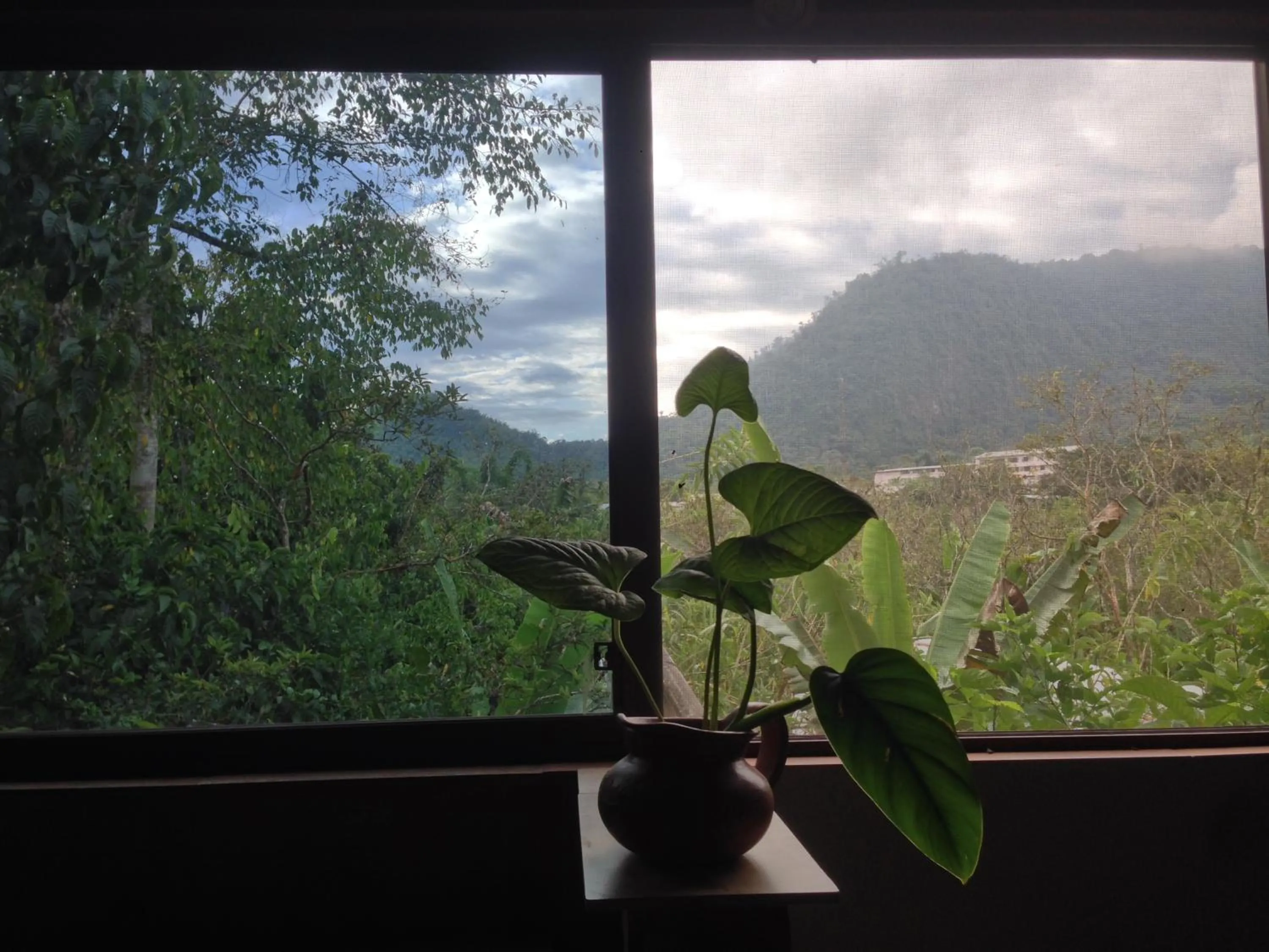 Twin Room in Cinnamon House