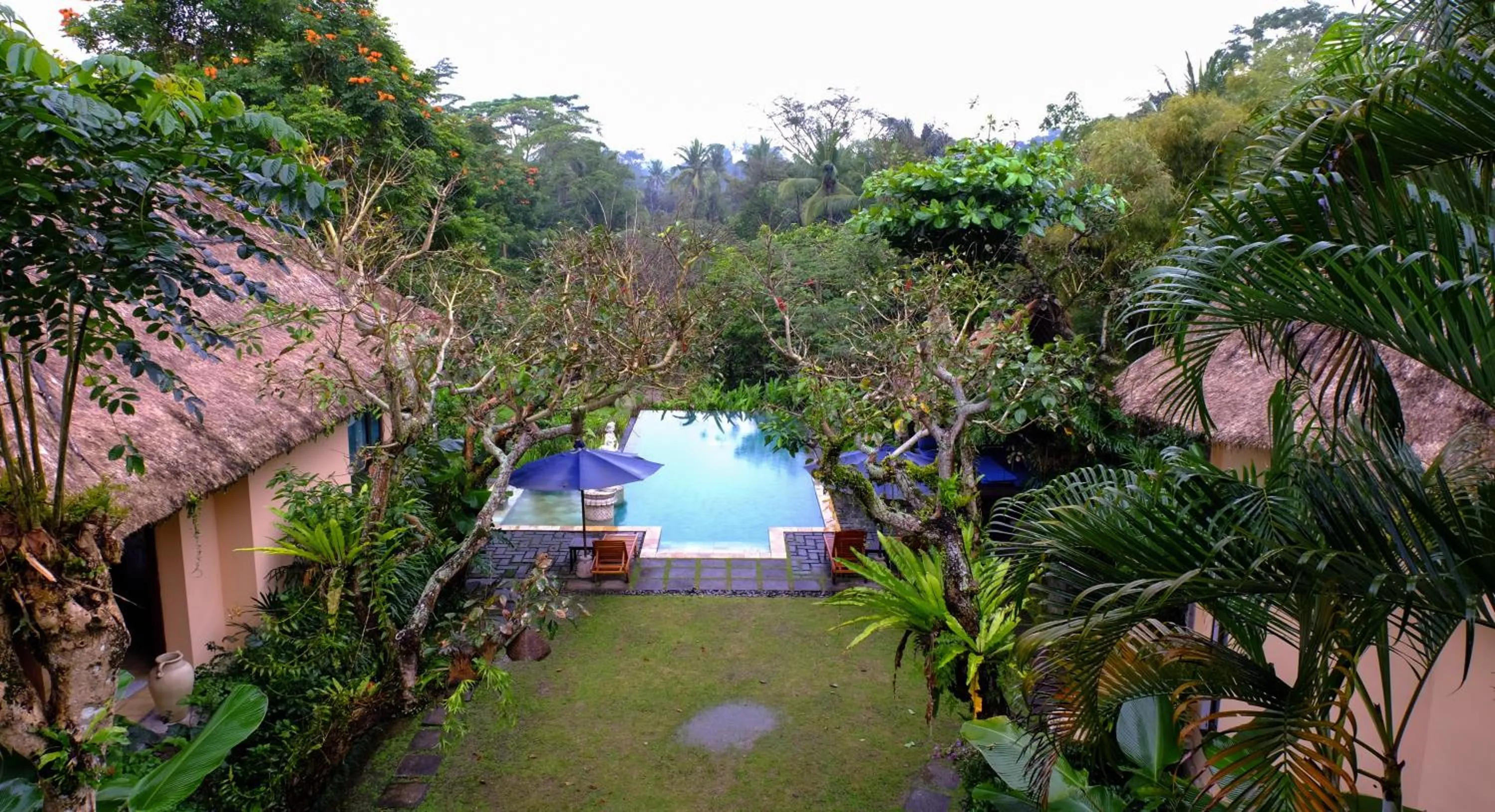Garden in Villa Sebali