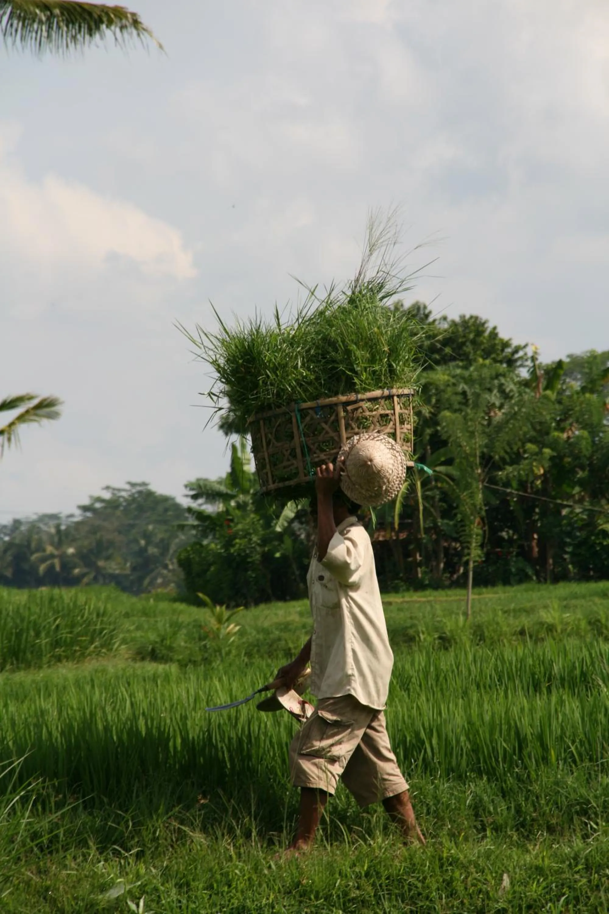 People in Villa Sebali