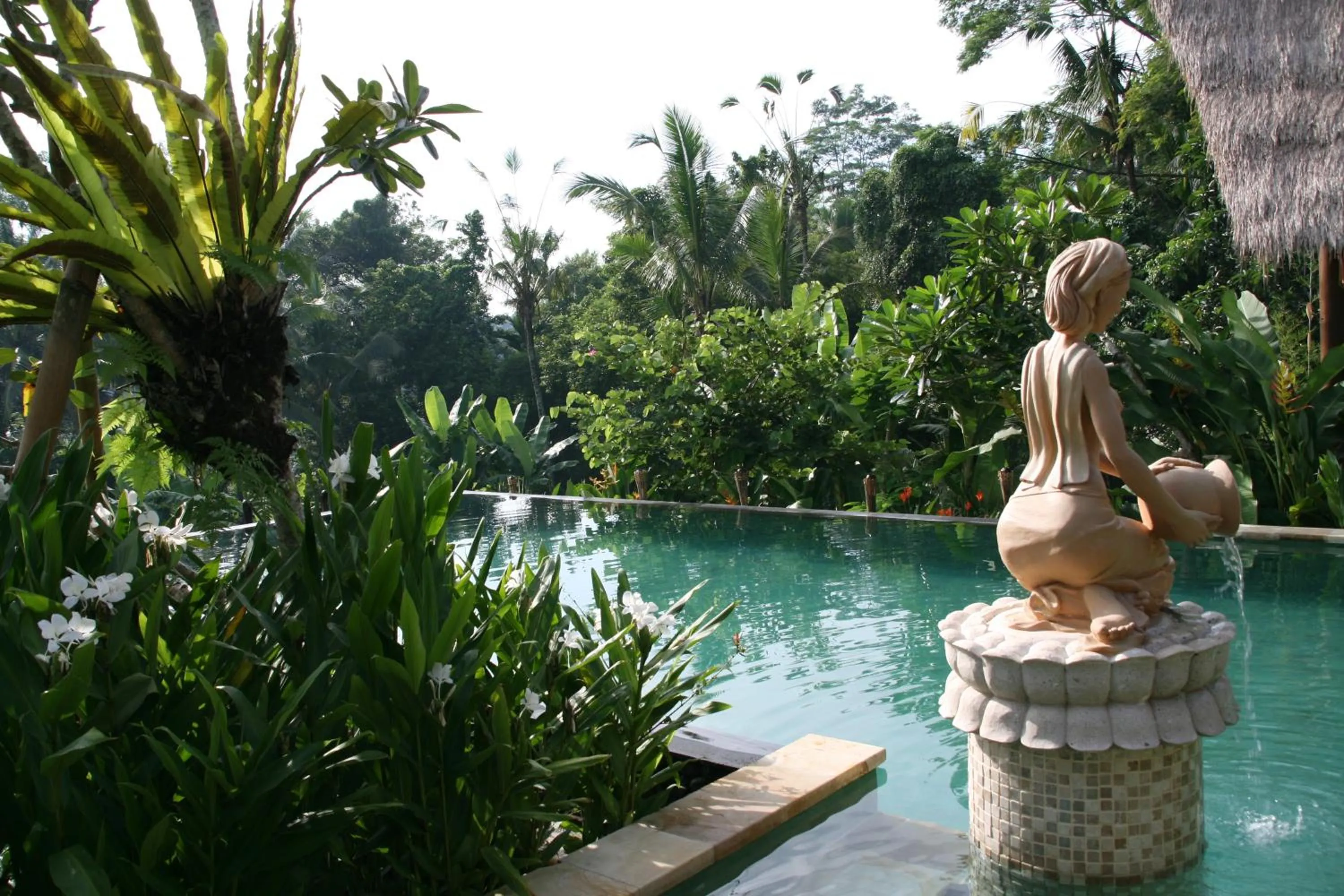 Garden in Villa Sebali