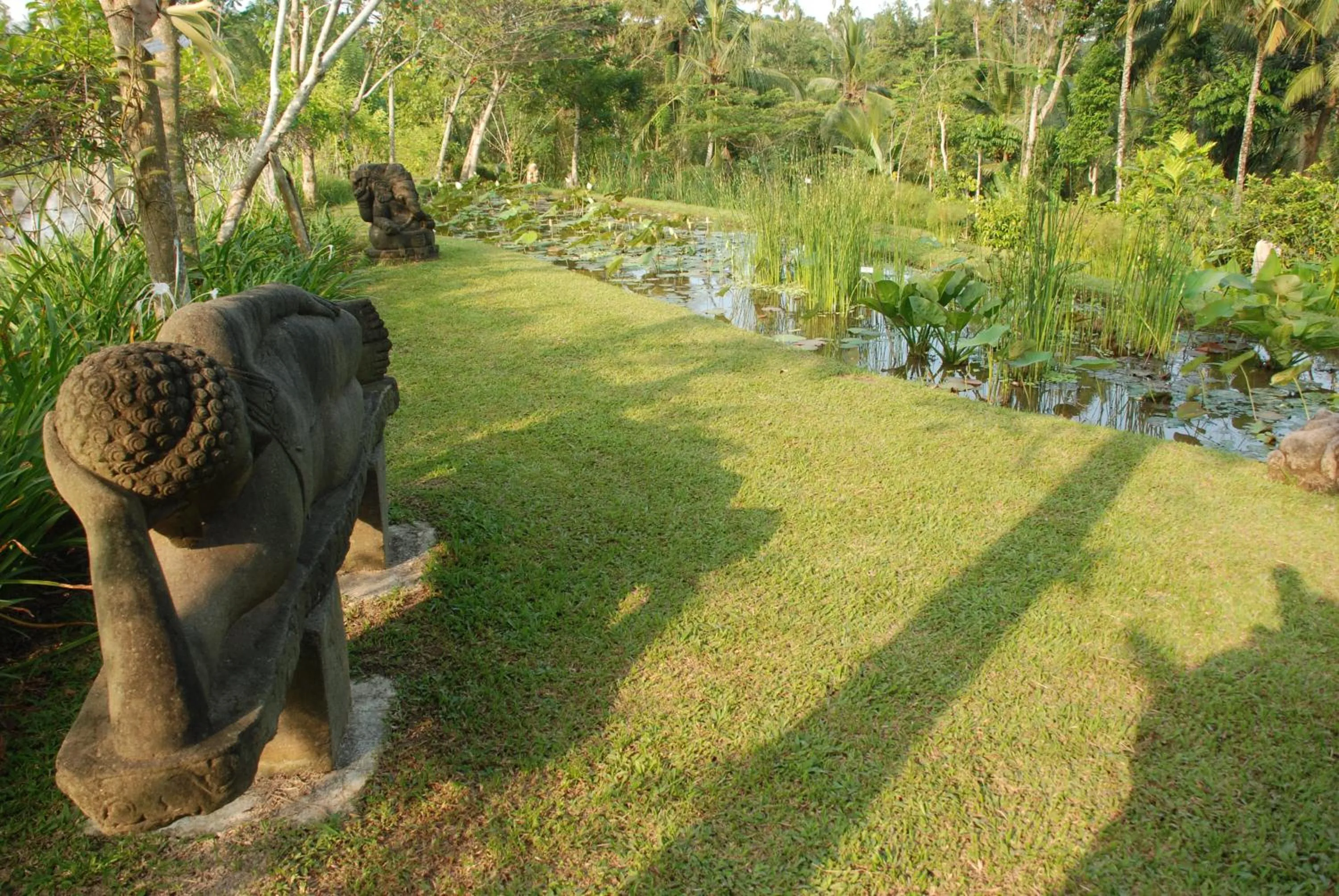Garden in Villa Sebali
