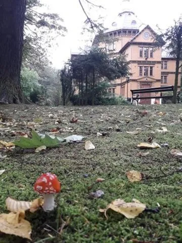 Pałac Myśliwski w Antoninie