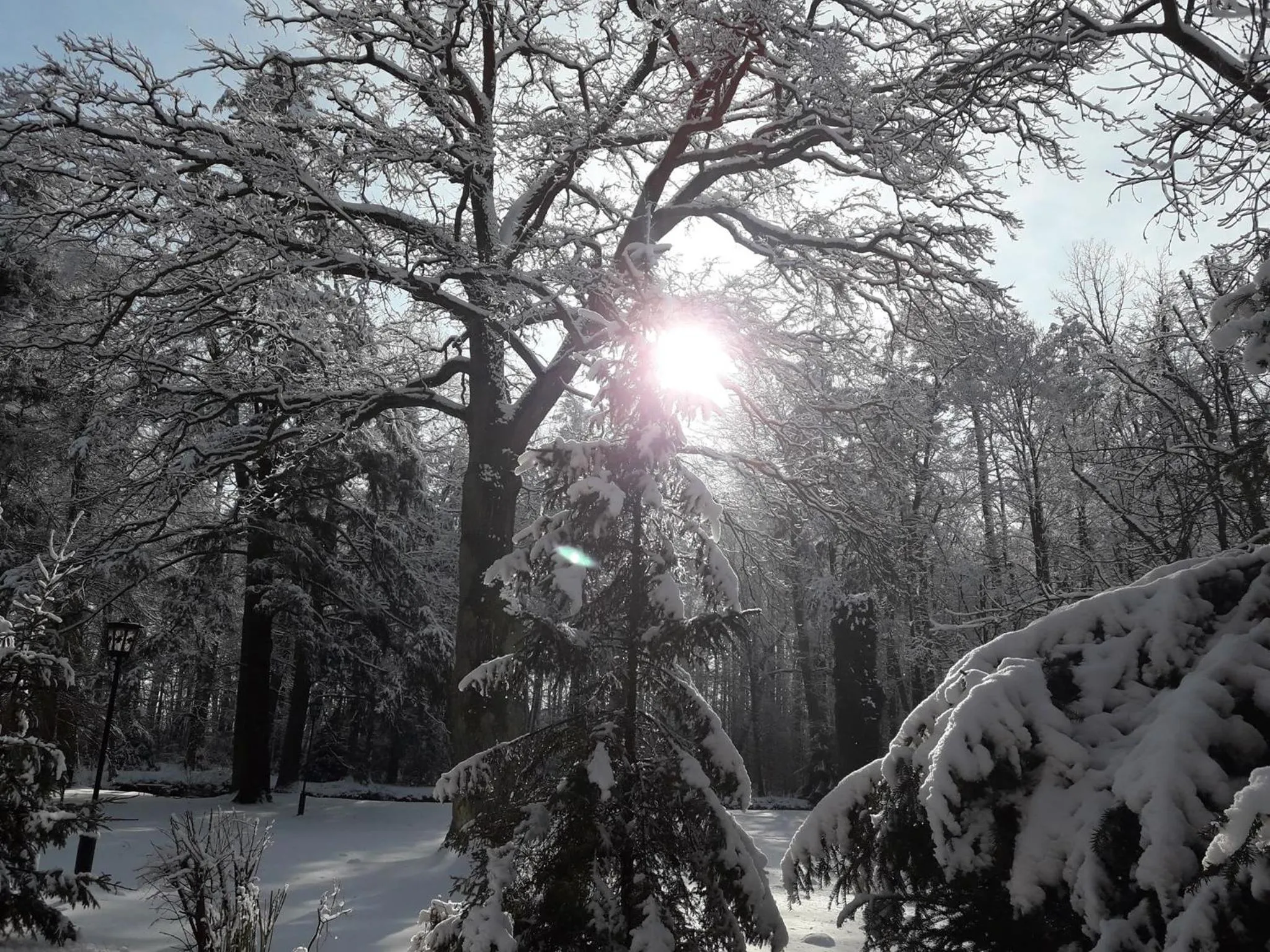 Pałac Myśliwski w Antoninie