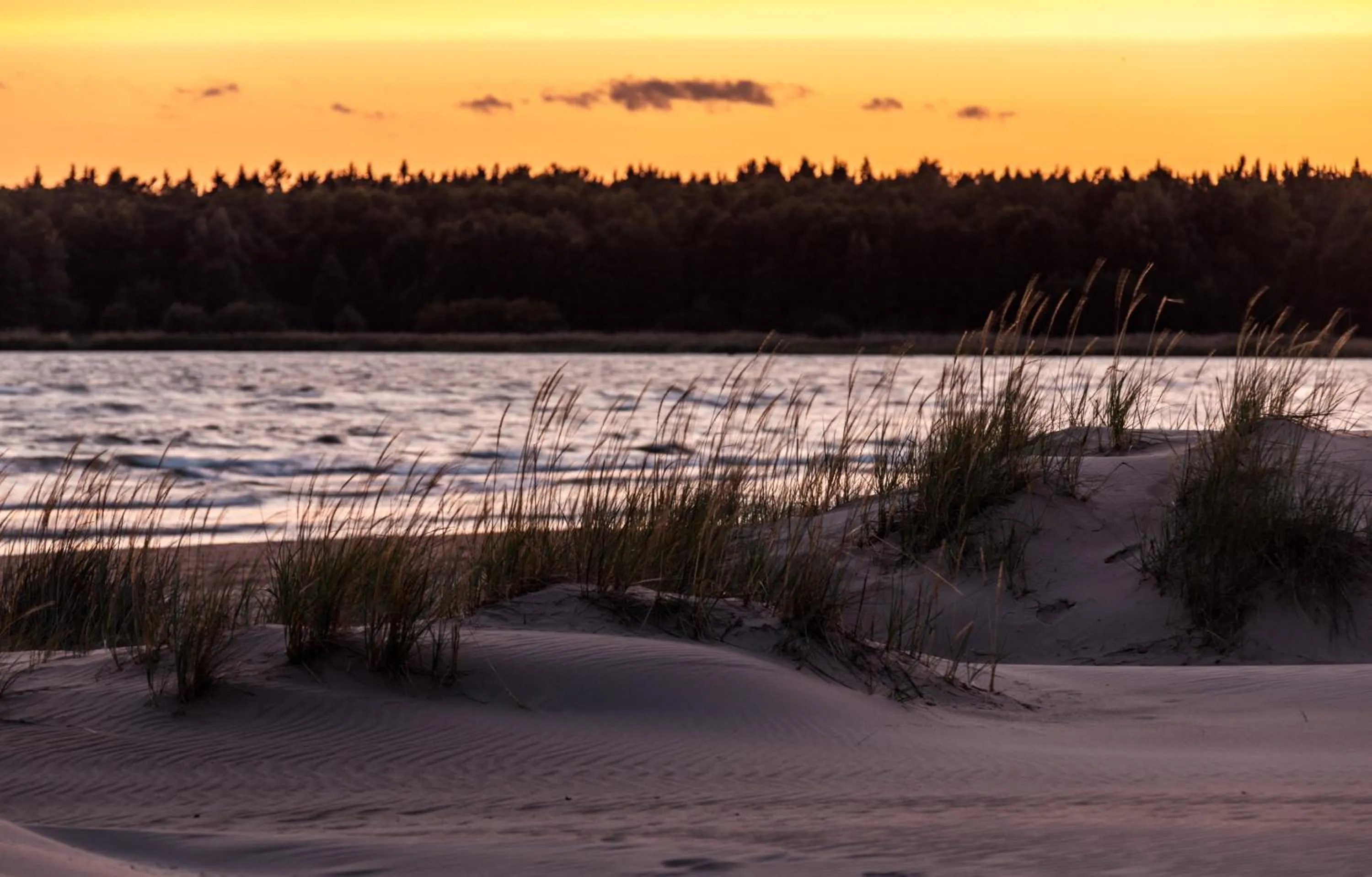 Beach in Yyteri Spa Hotel