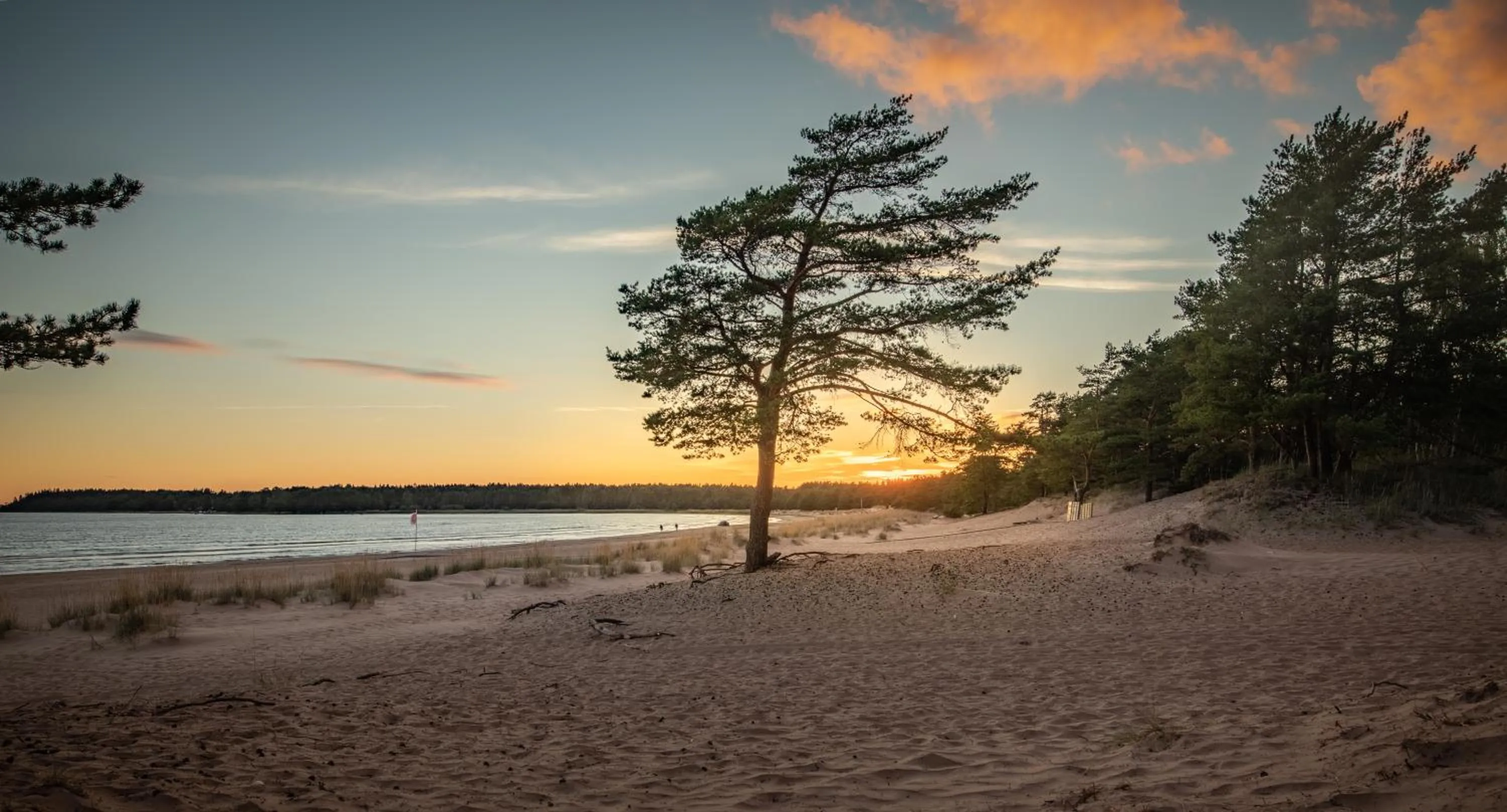 Natural landscape in Yyteri Spa Hotel