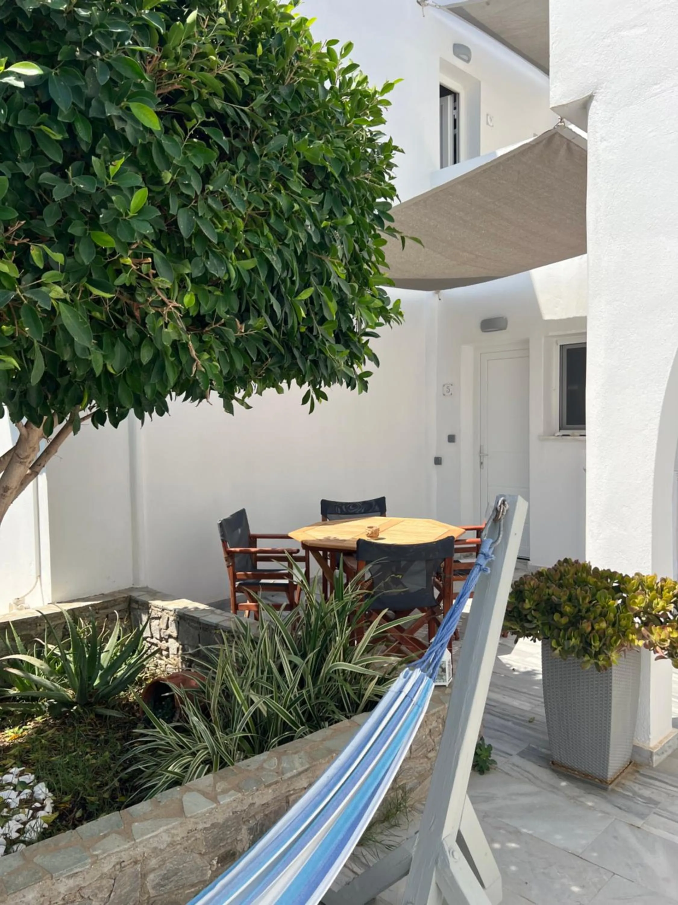 Garden in Marioly Studios