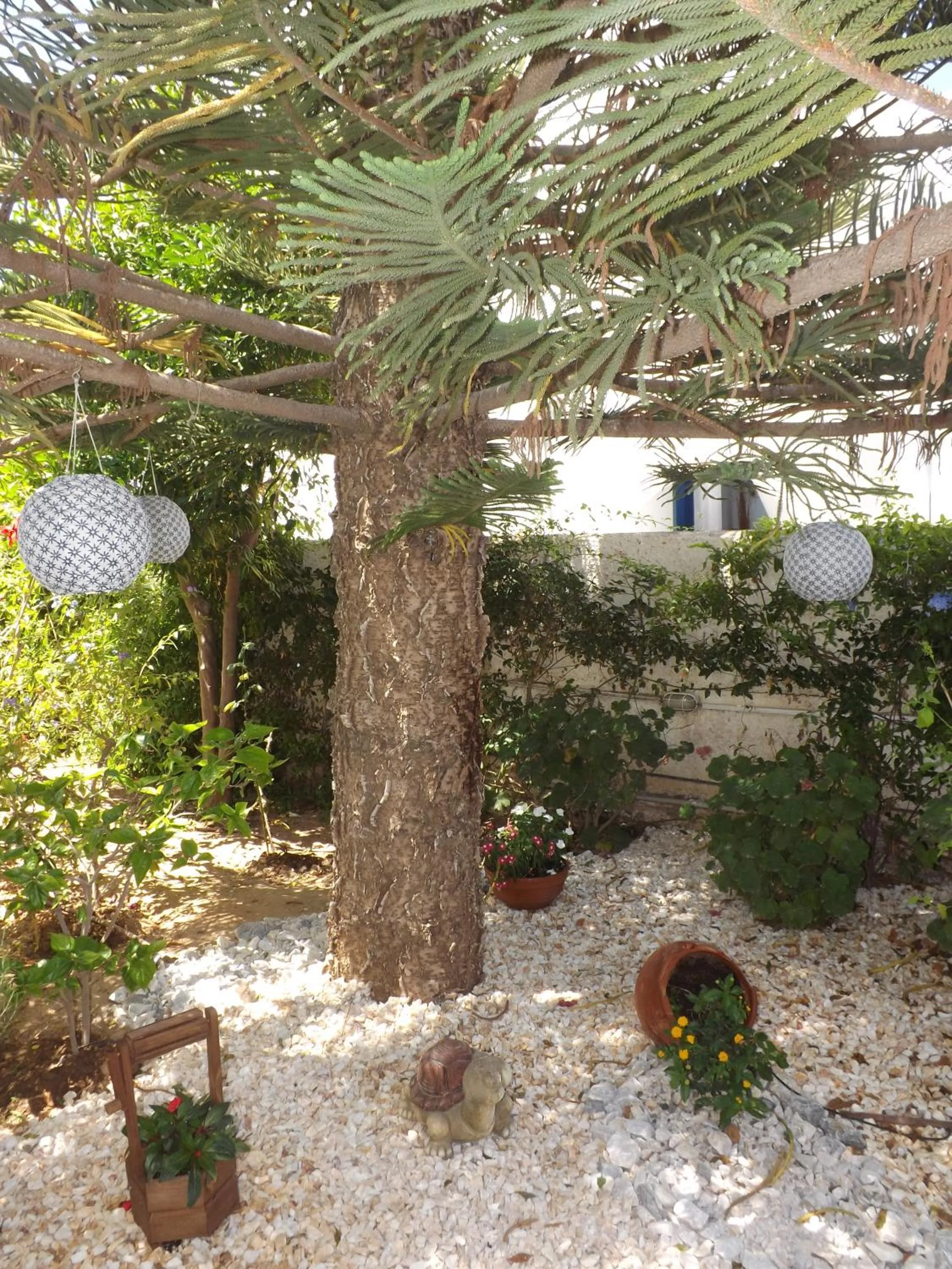 Garden in Marioly Studios