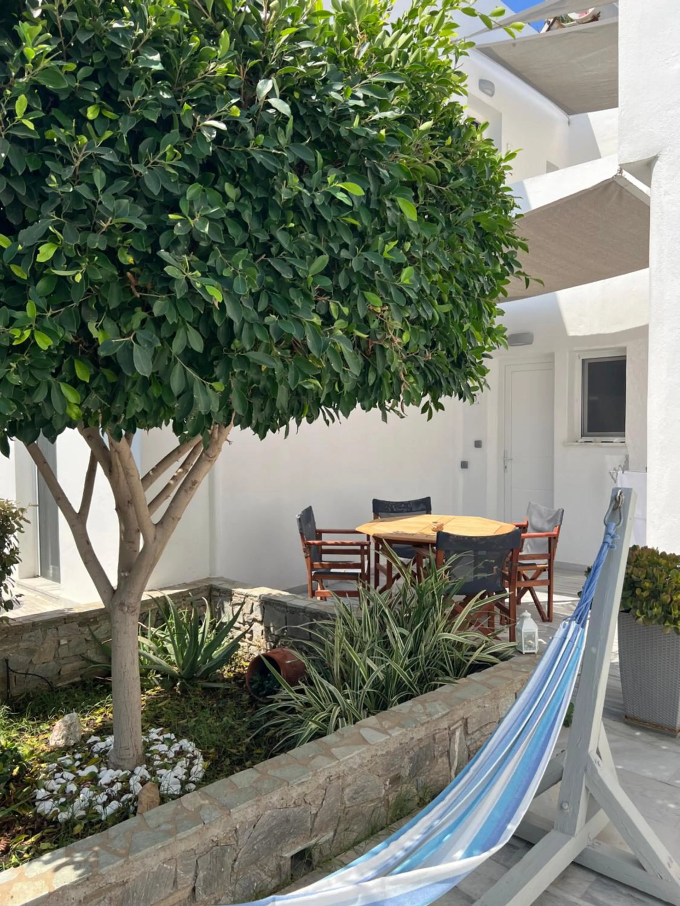 Garden in Marioly Studios