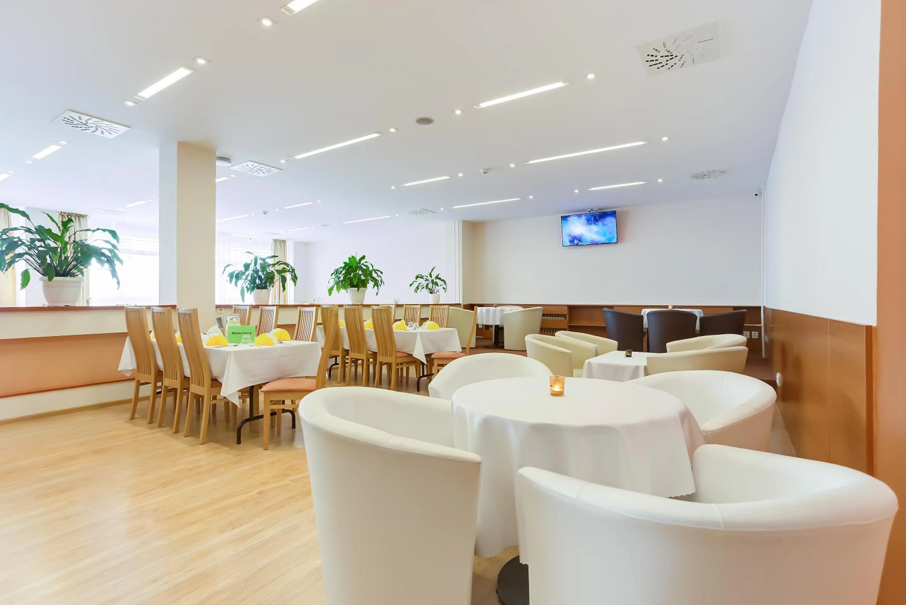 Restaurant/places to eat in Hotel Lineas