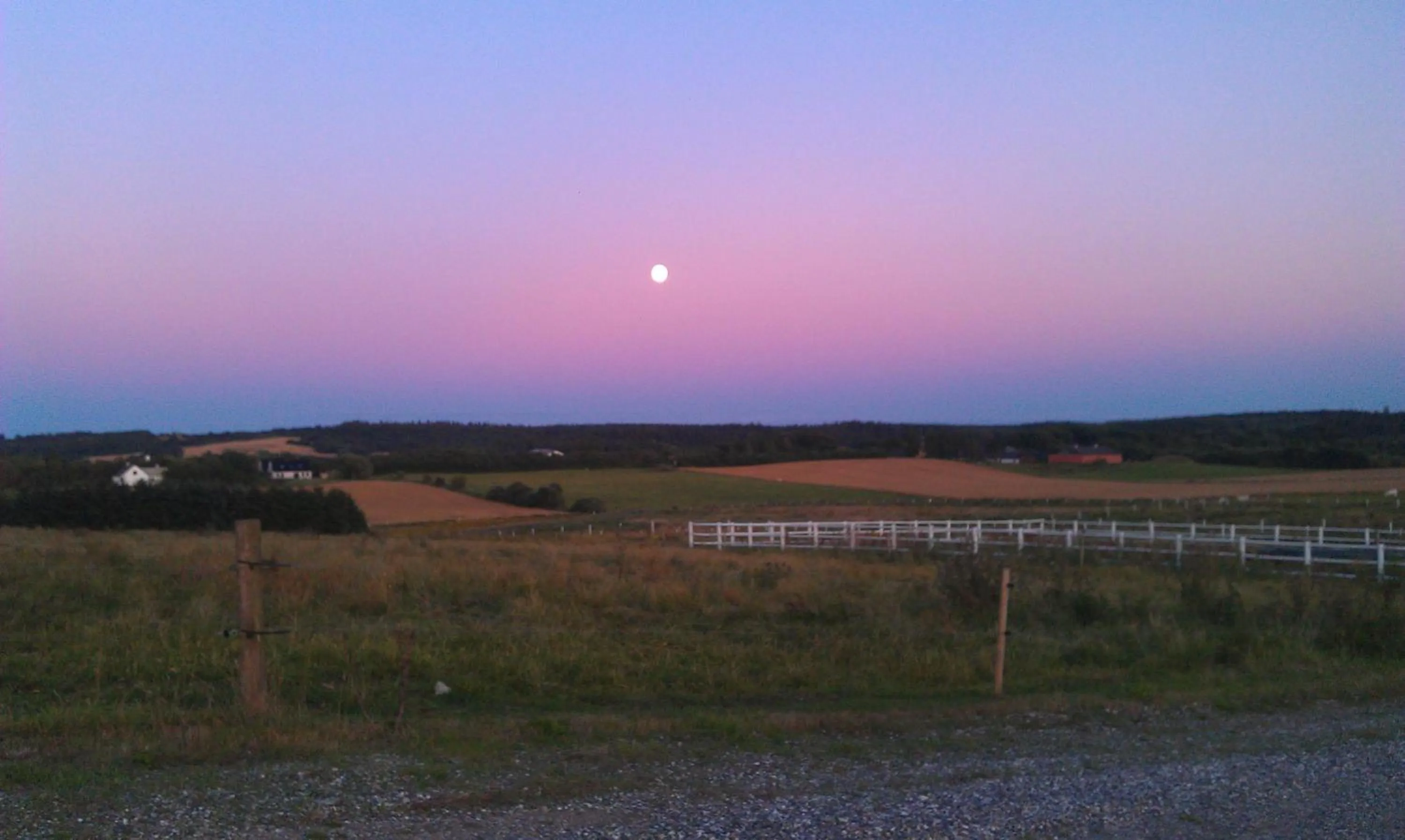 Natural landscape in Hotel Højgaarden