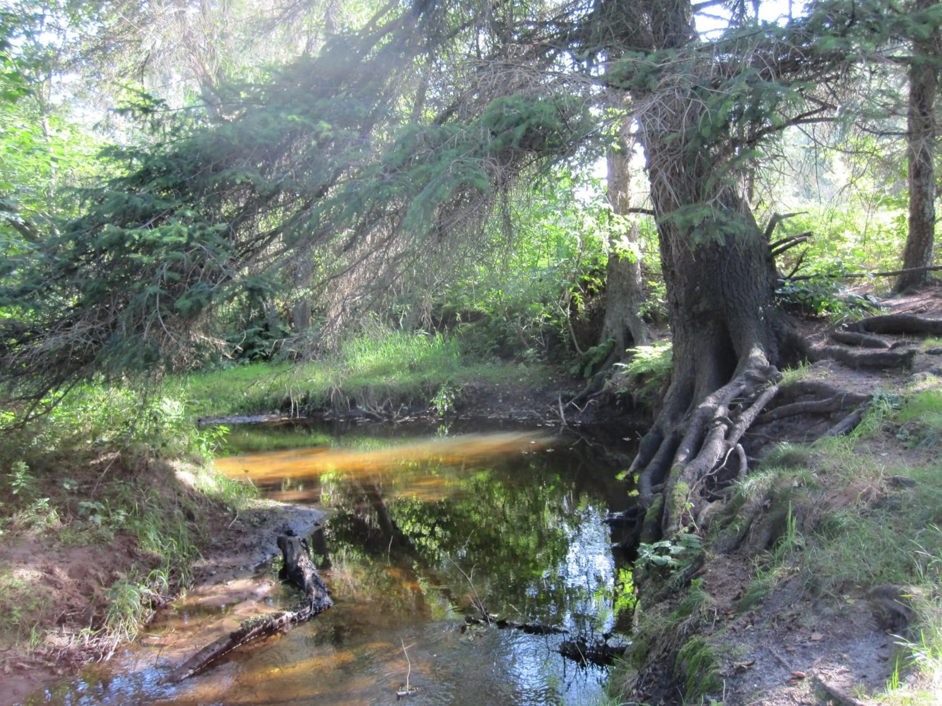 Day in Hotel Højgaarden
