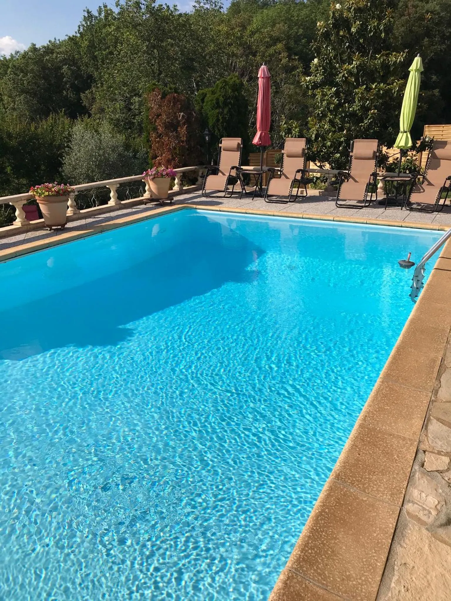 Swimming pool in Domaine Lacoste