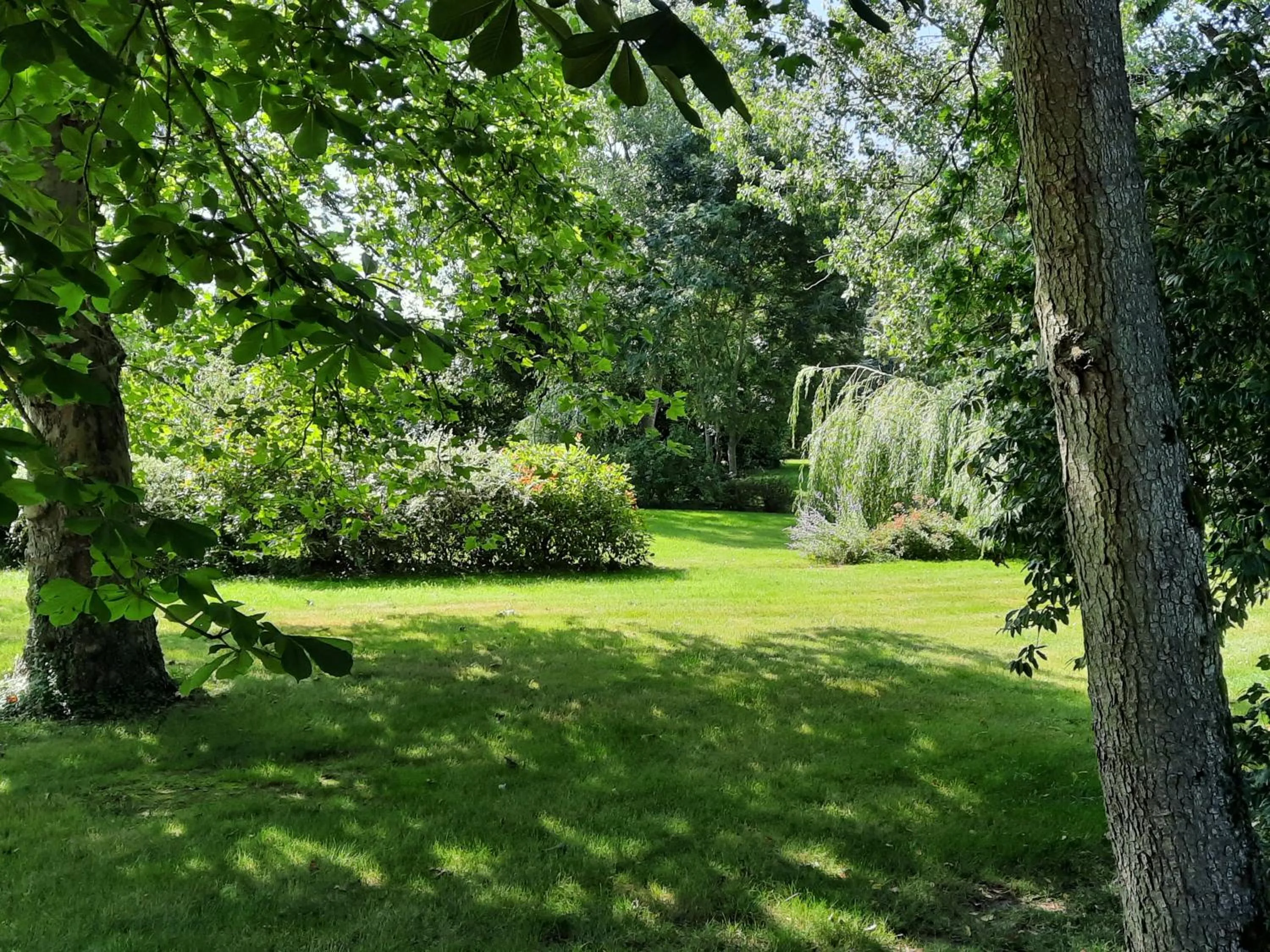 Garden in Manoir des Tuileries du Buisson