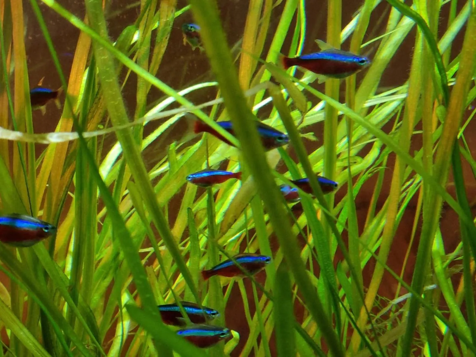 Decorative detail in The Resolution Hotel