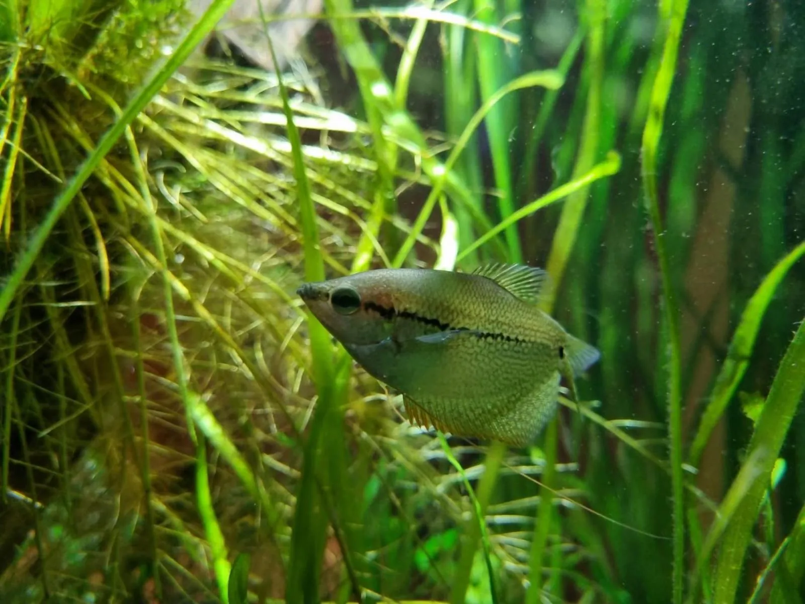 Decorative detail in The Resolution Hotel