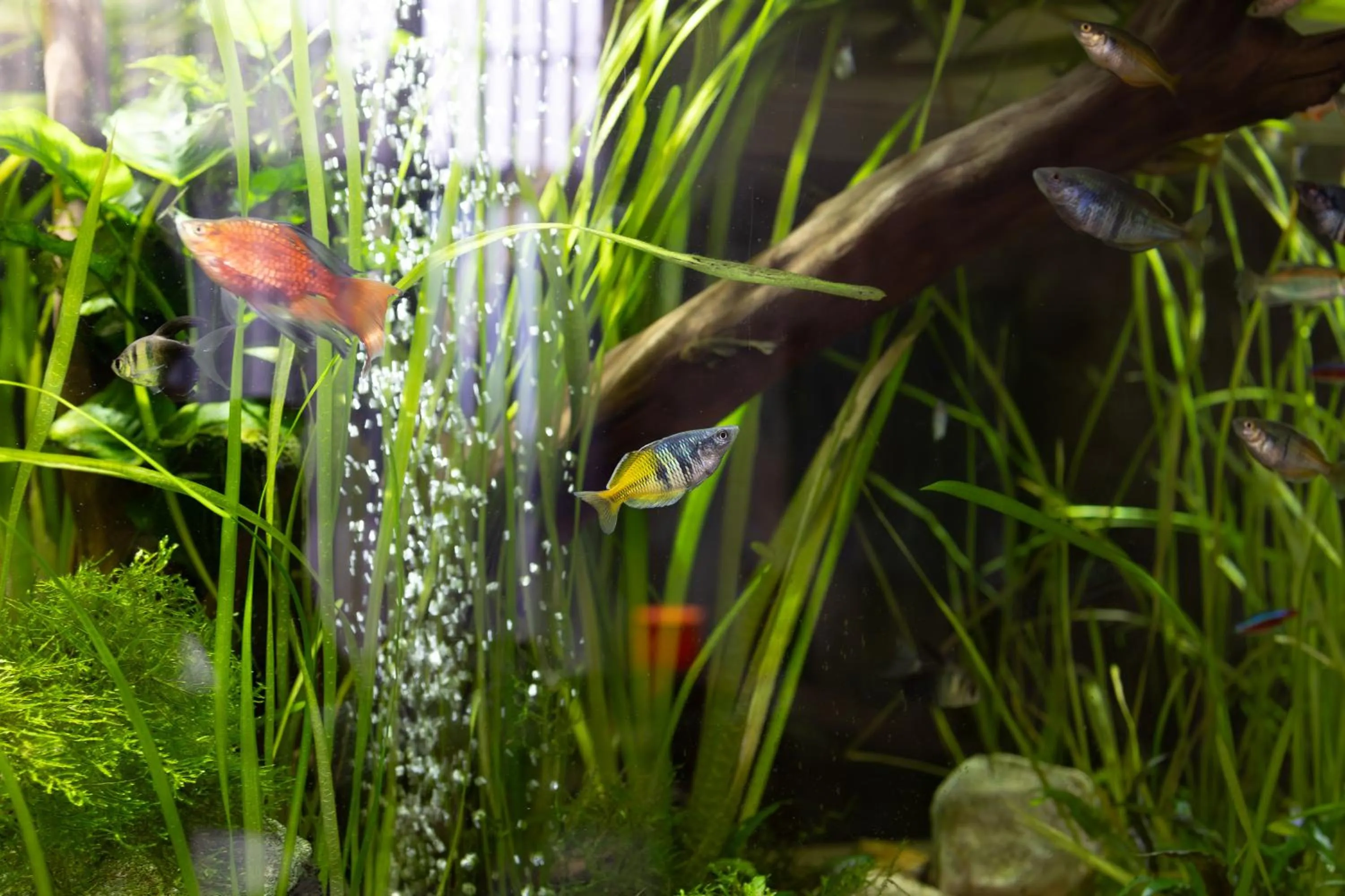 Decorative detail in The Resolution Hotel