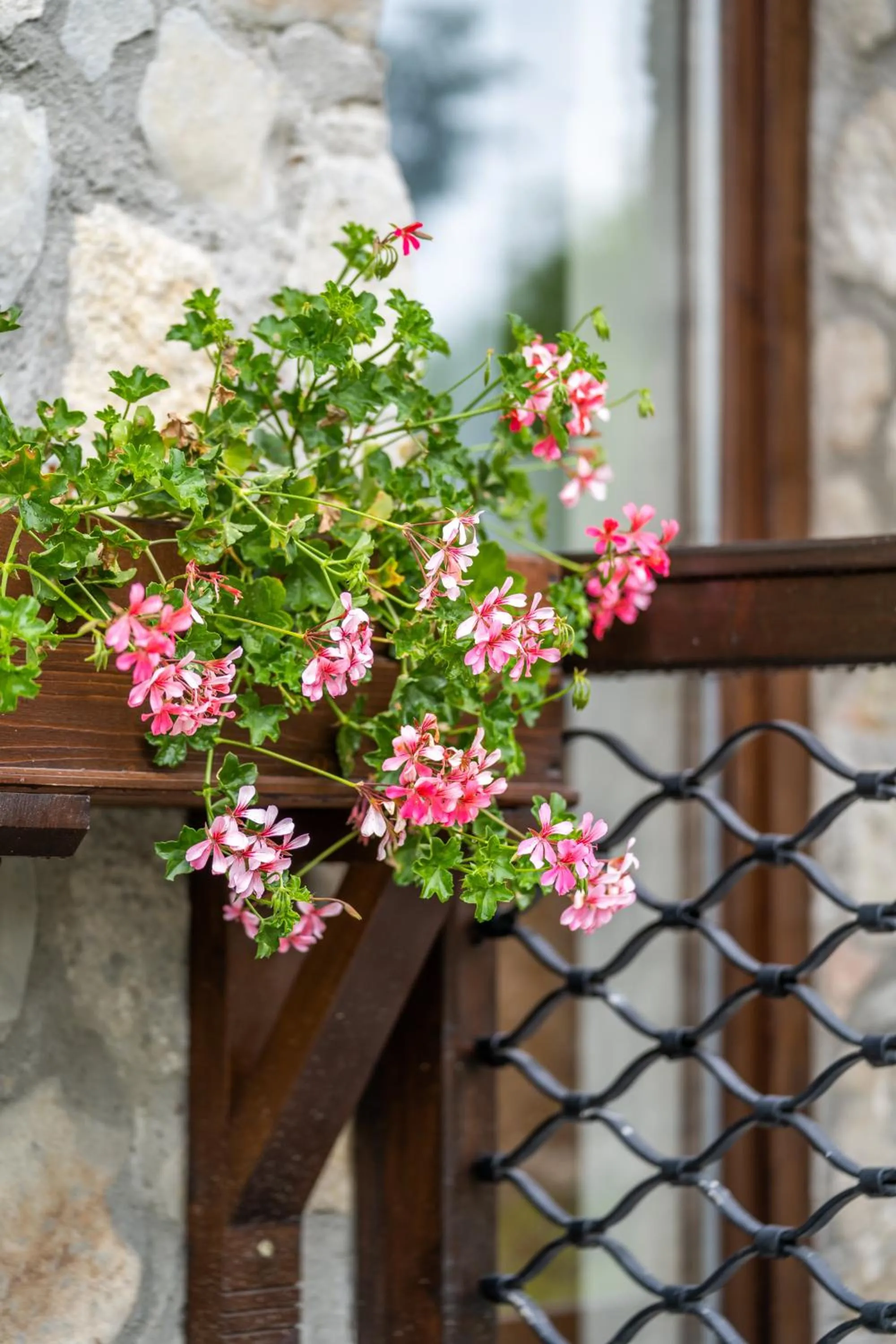 Balcony/Terrace in Felix Pension
