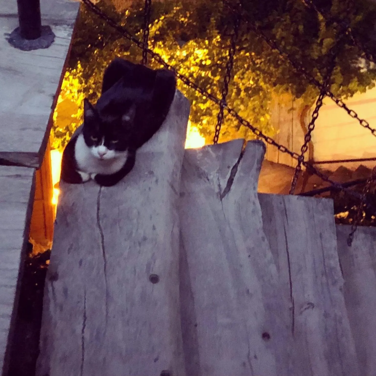 Property building in Cappadocia Cave House