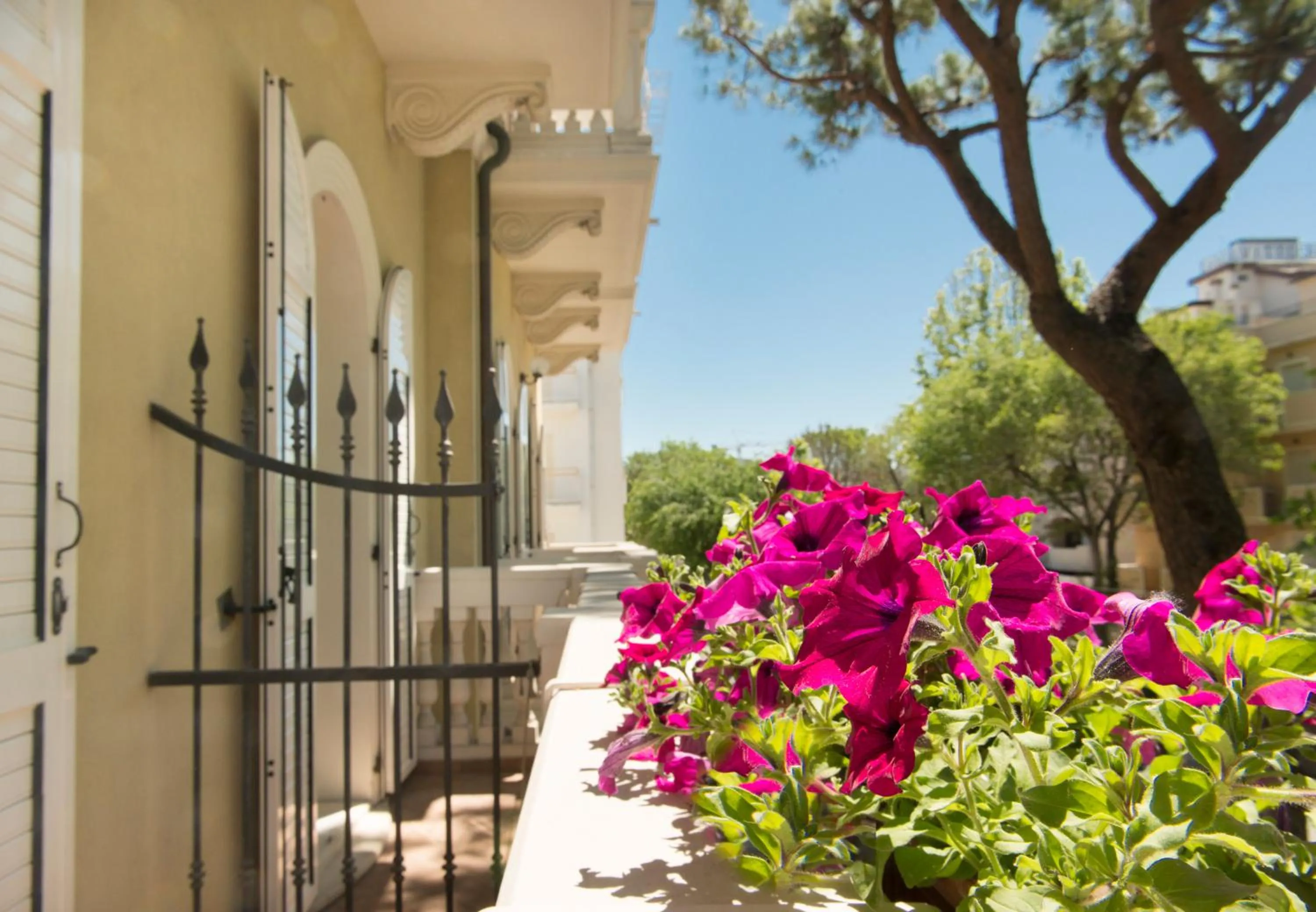Balcony/Terrace in Novecento Suite Hotel