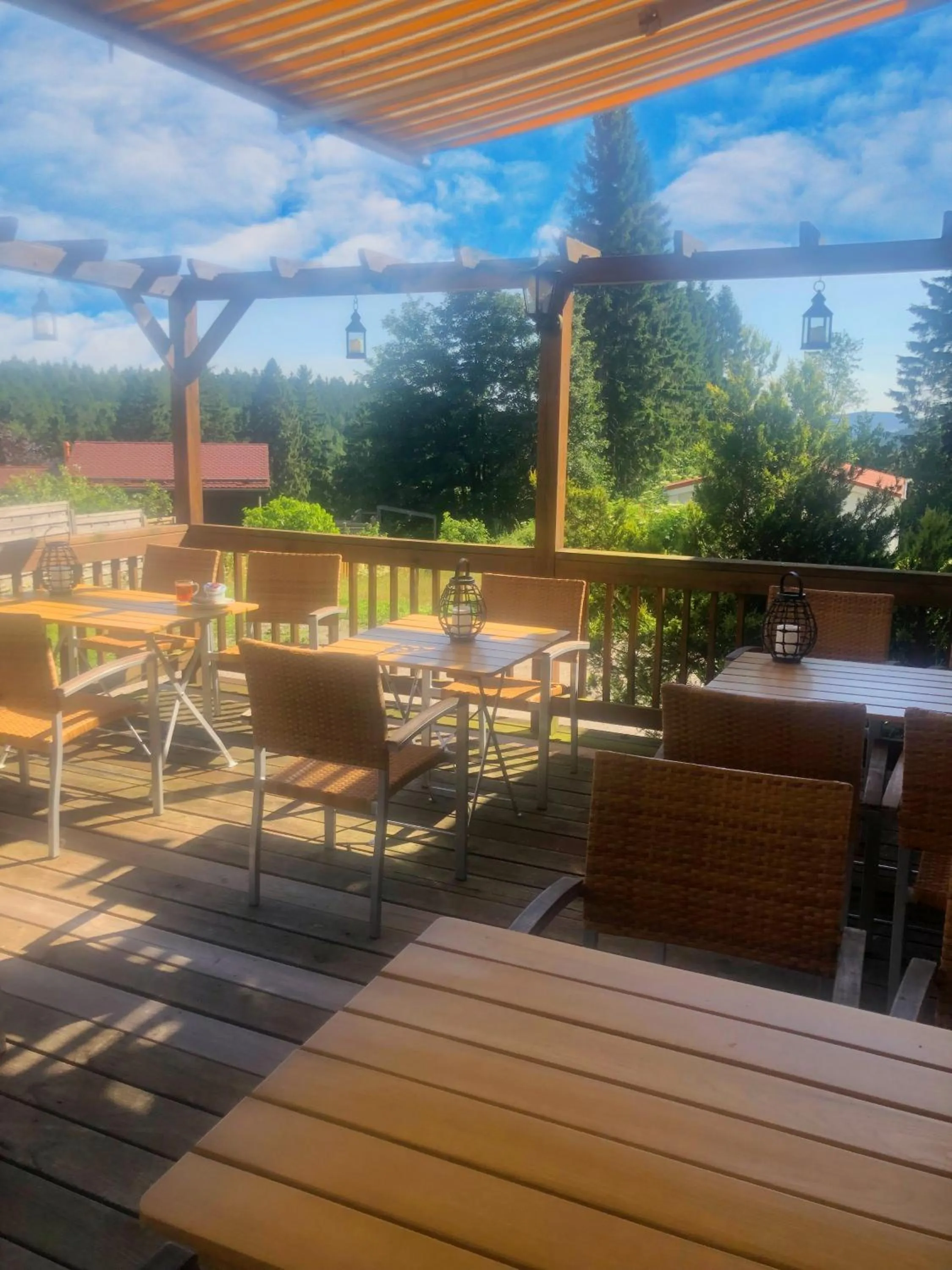 Balcony/Terrace in Berghotel HARZ