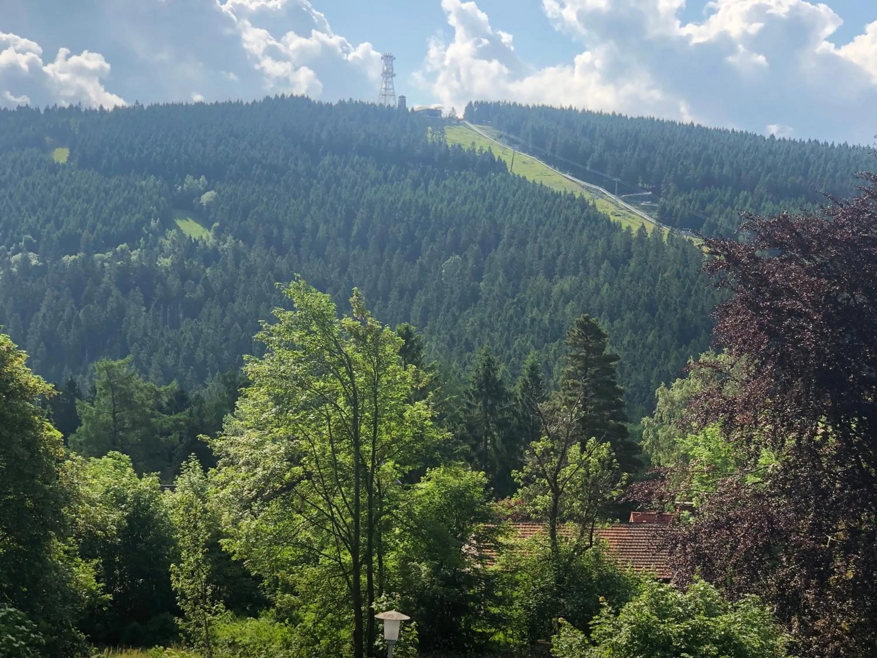 Mountain view in Berghotel HARZ