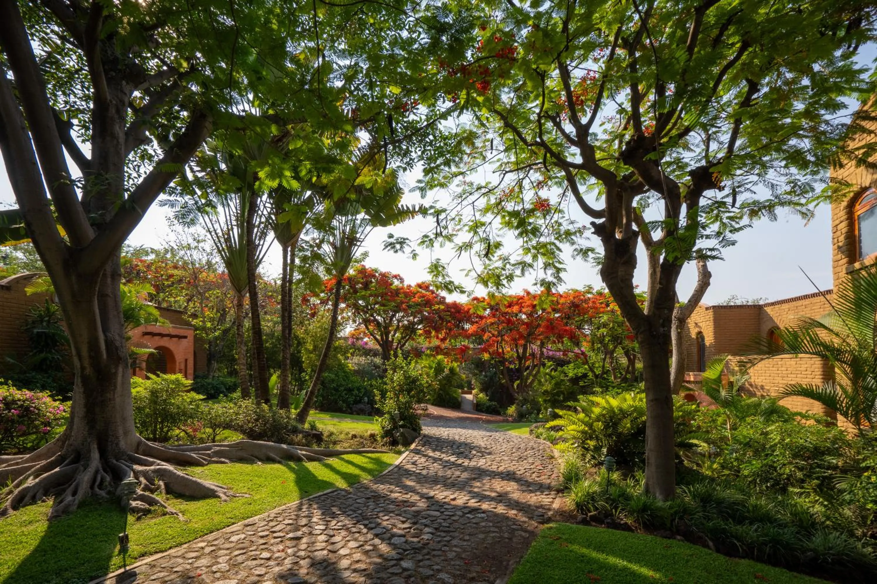 Spring in Mision del Sol Resort & Spa Adults Only