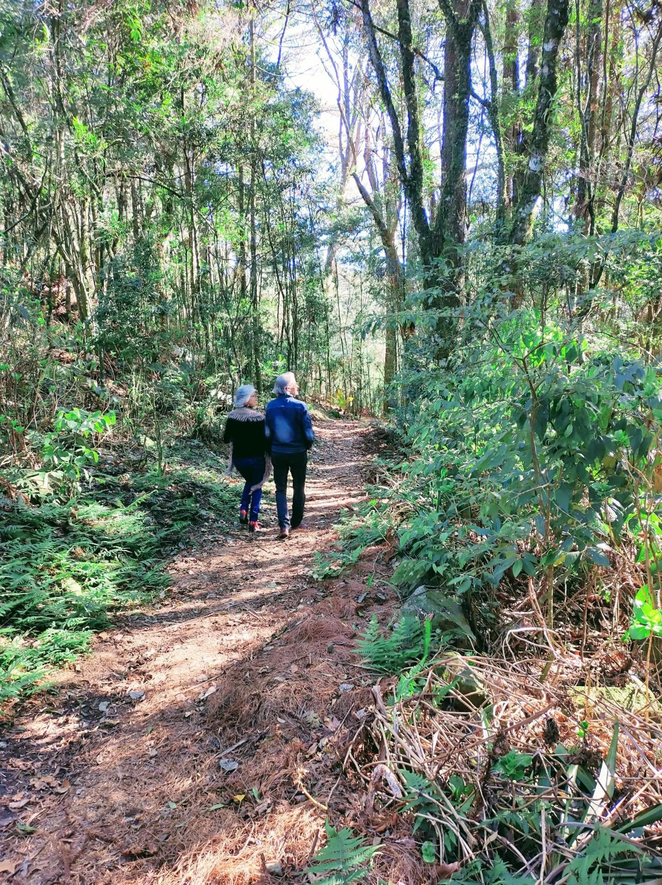 Hiking in Grande Hotel Canela