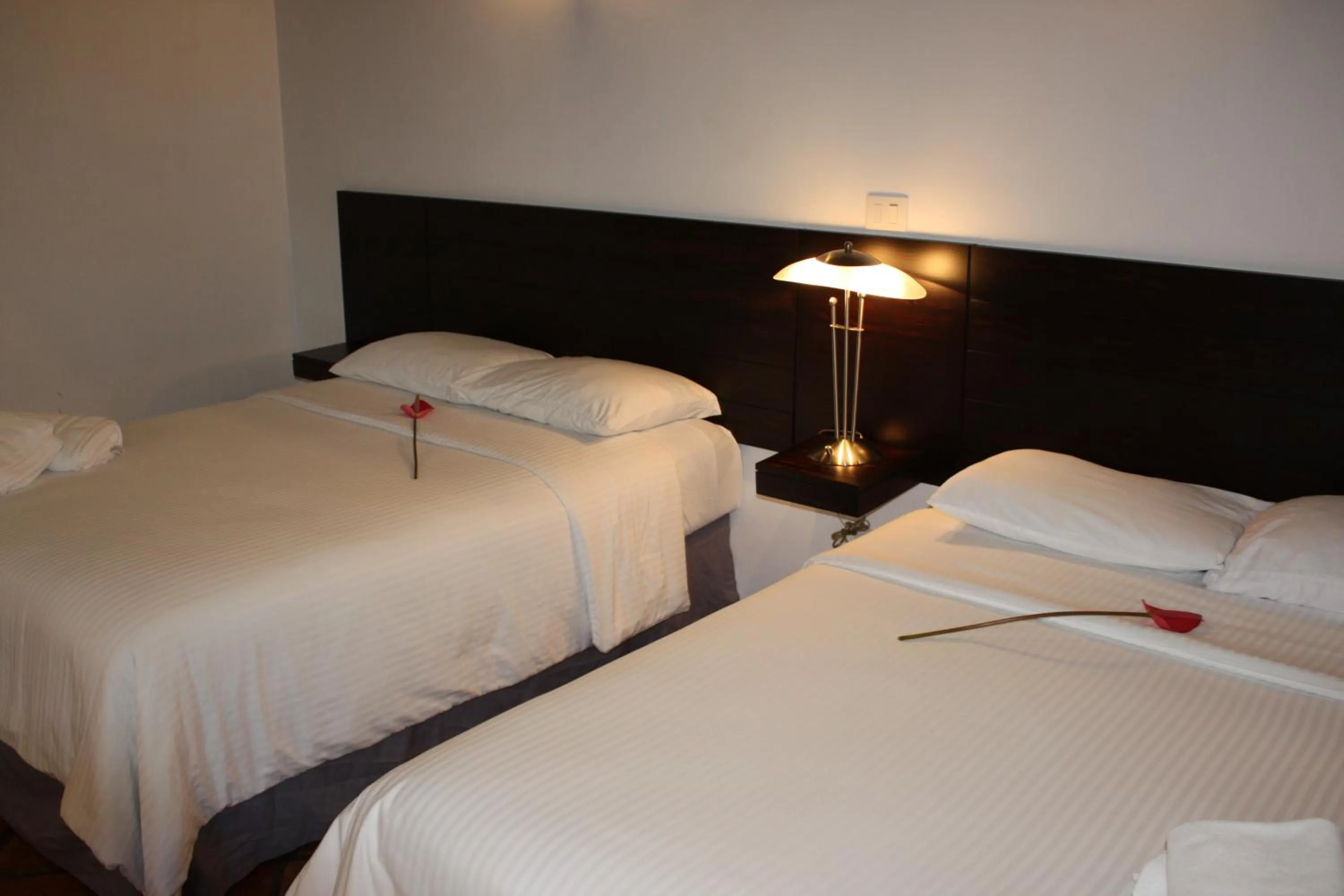 Bed in Hotel Casa Real Del Café