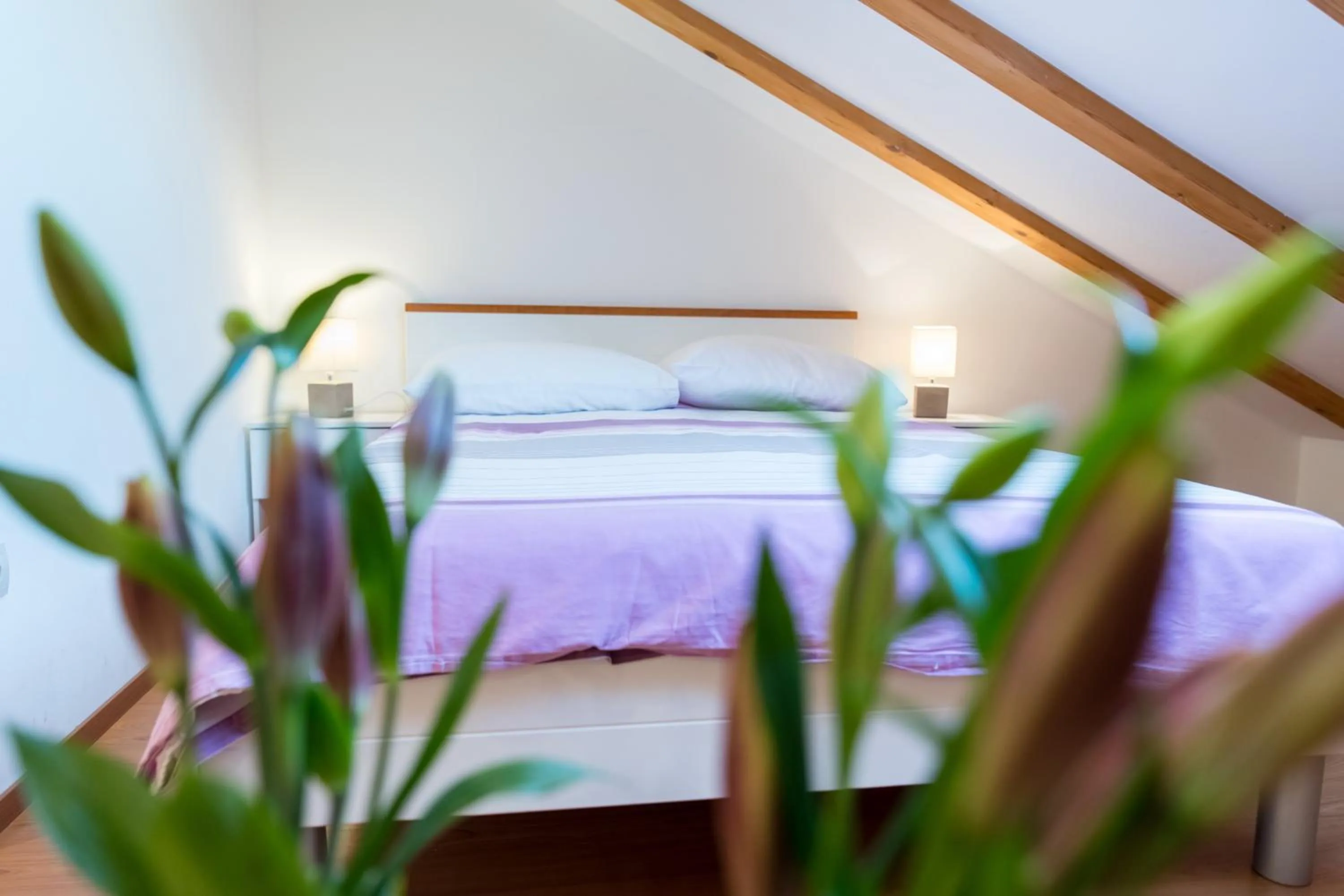 Bedroom in Rooms Raič