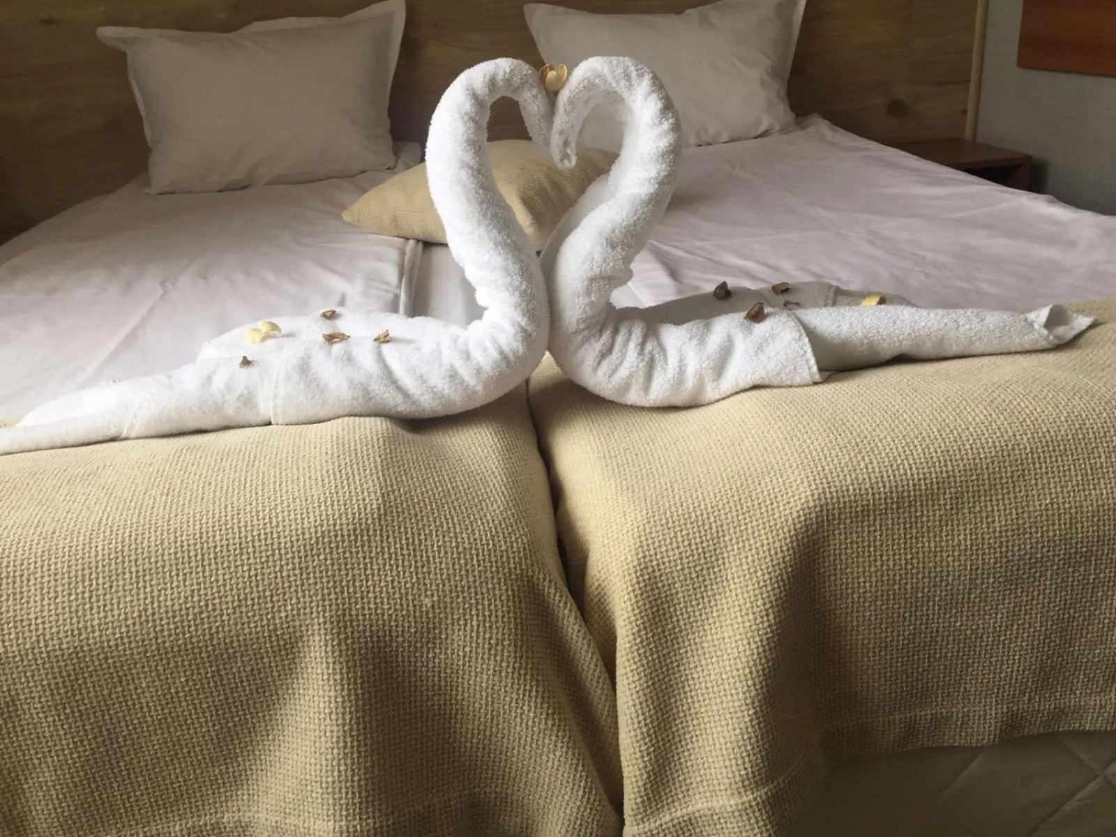 Bed in Family Hotel Kedara