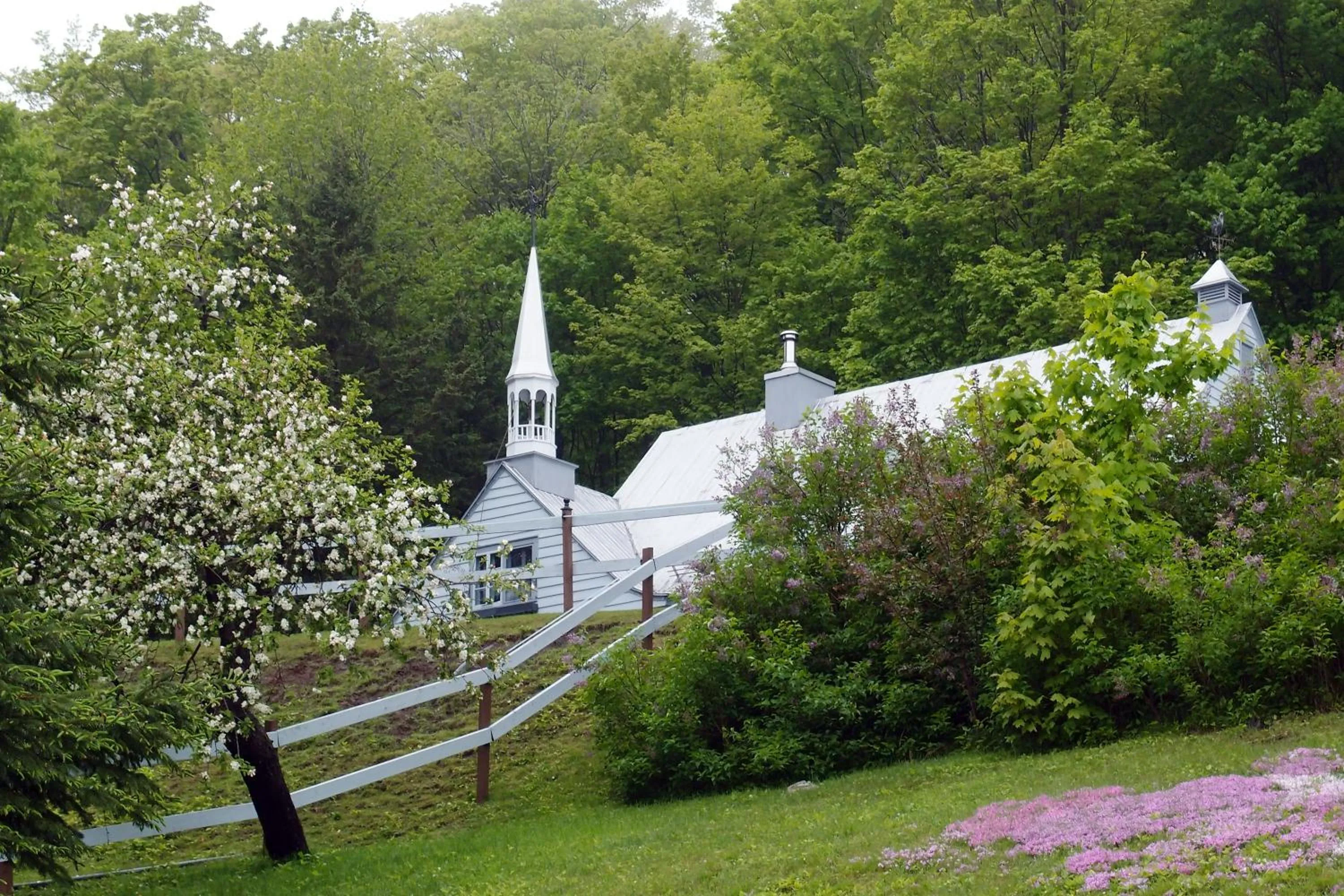 Facade/entrance in Le Petit Clocher Gite Touristique B & B