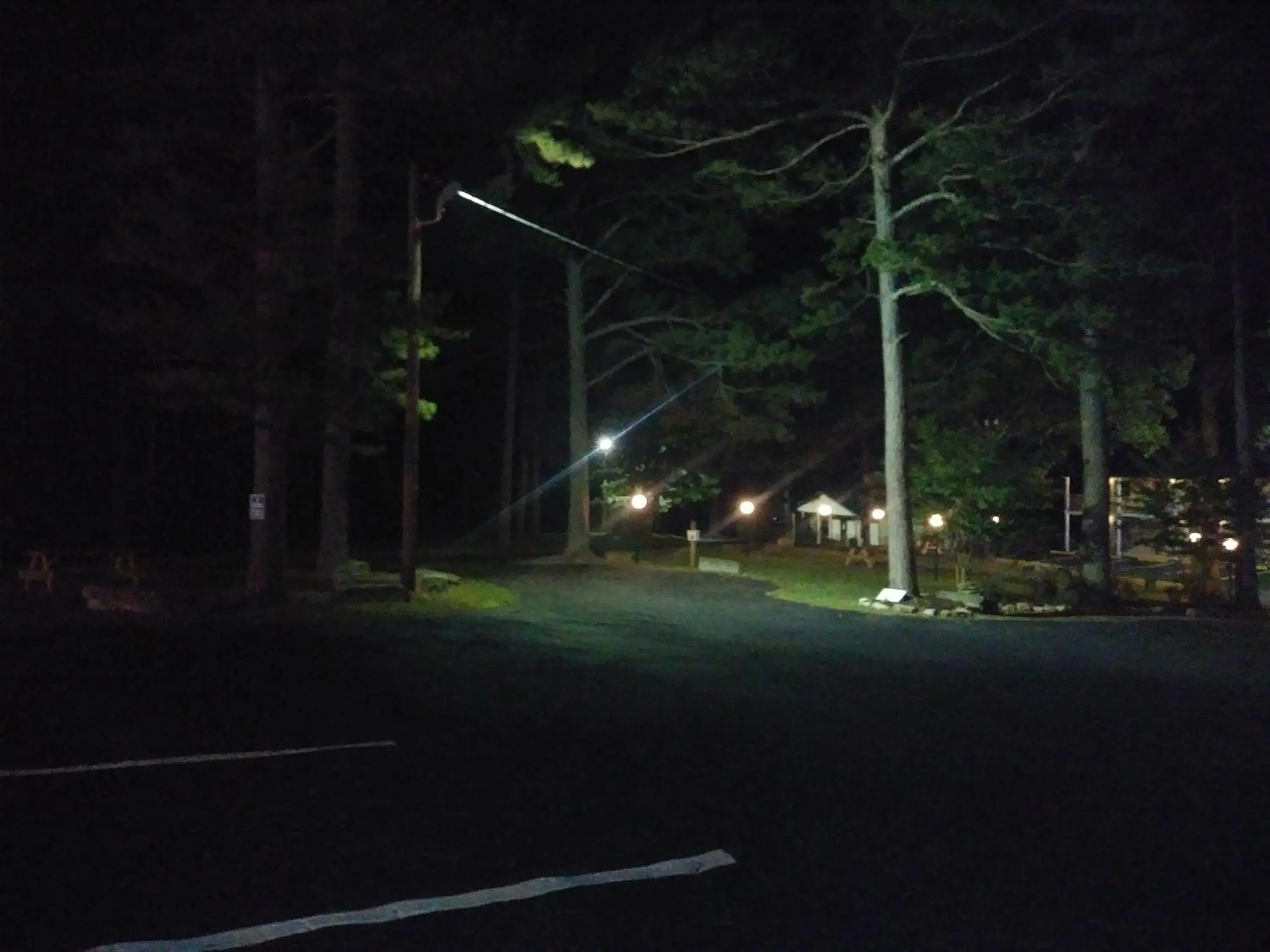 Night in Traveler's Inn