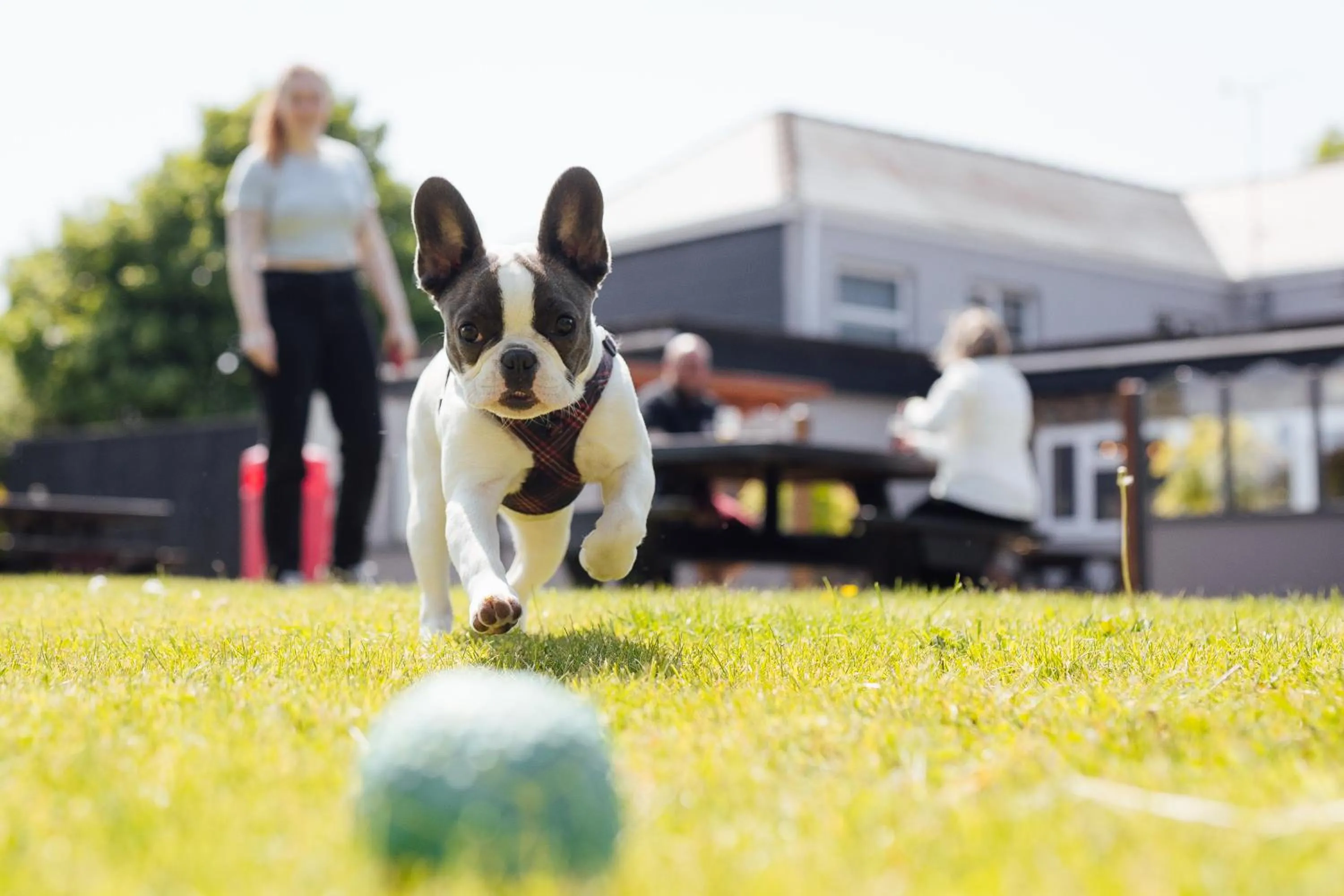 Property building in The Imperial Dragon Hotel