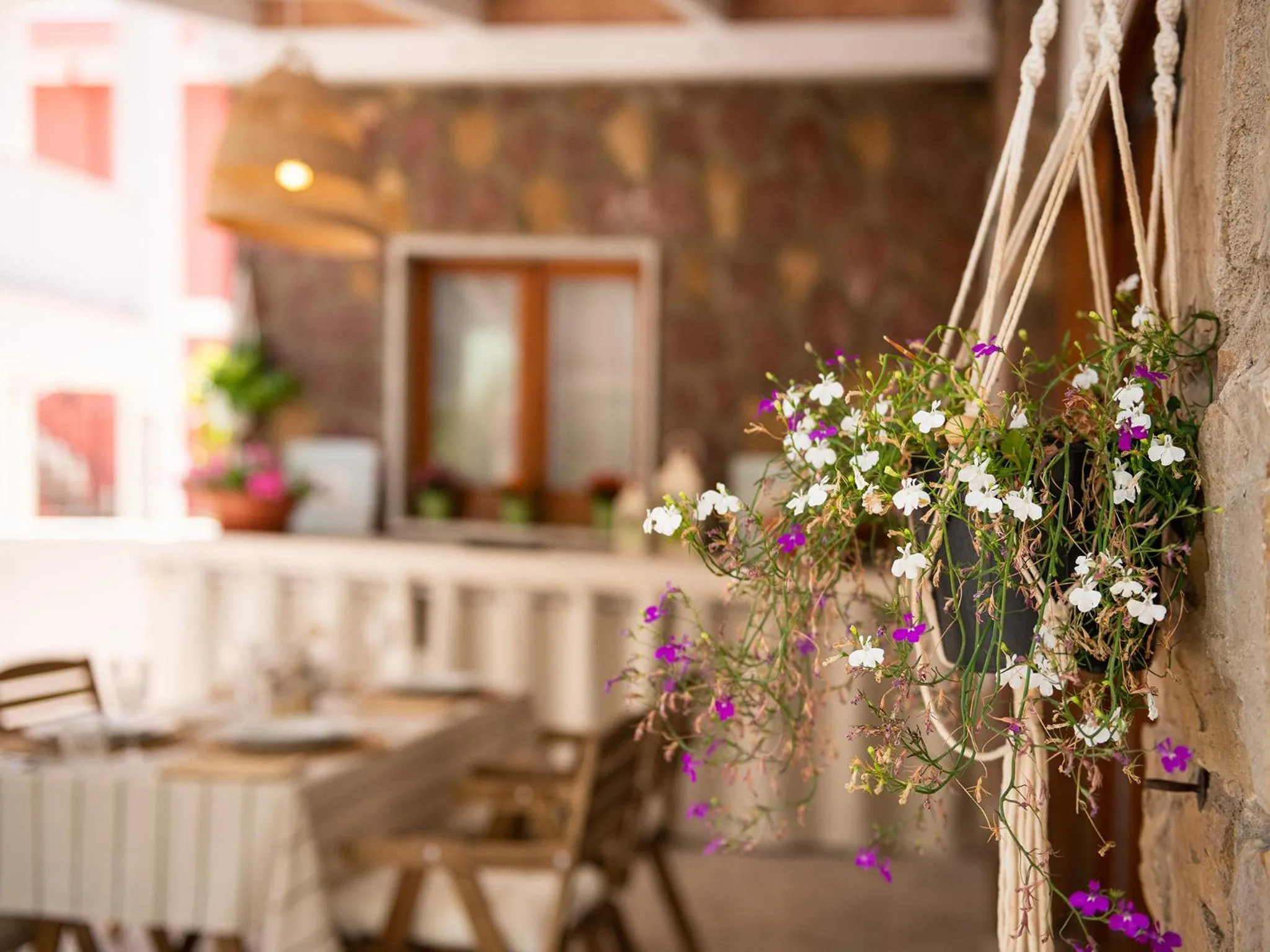 Garden in Villa Iole Apartment