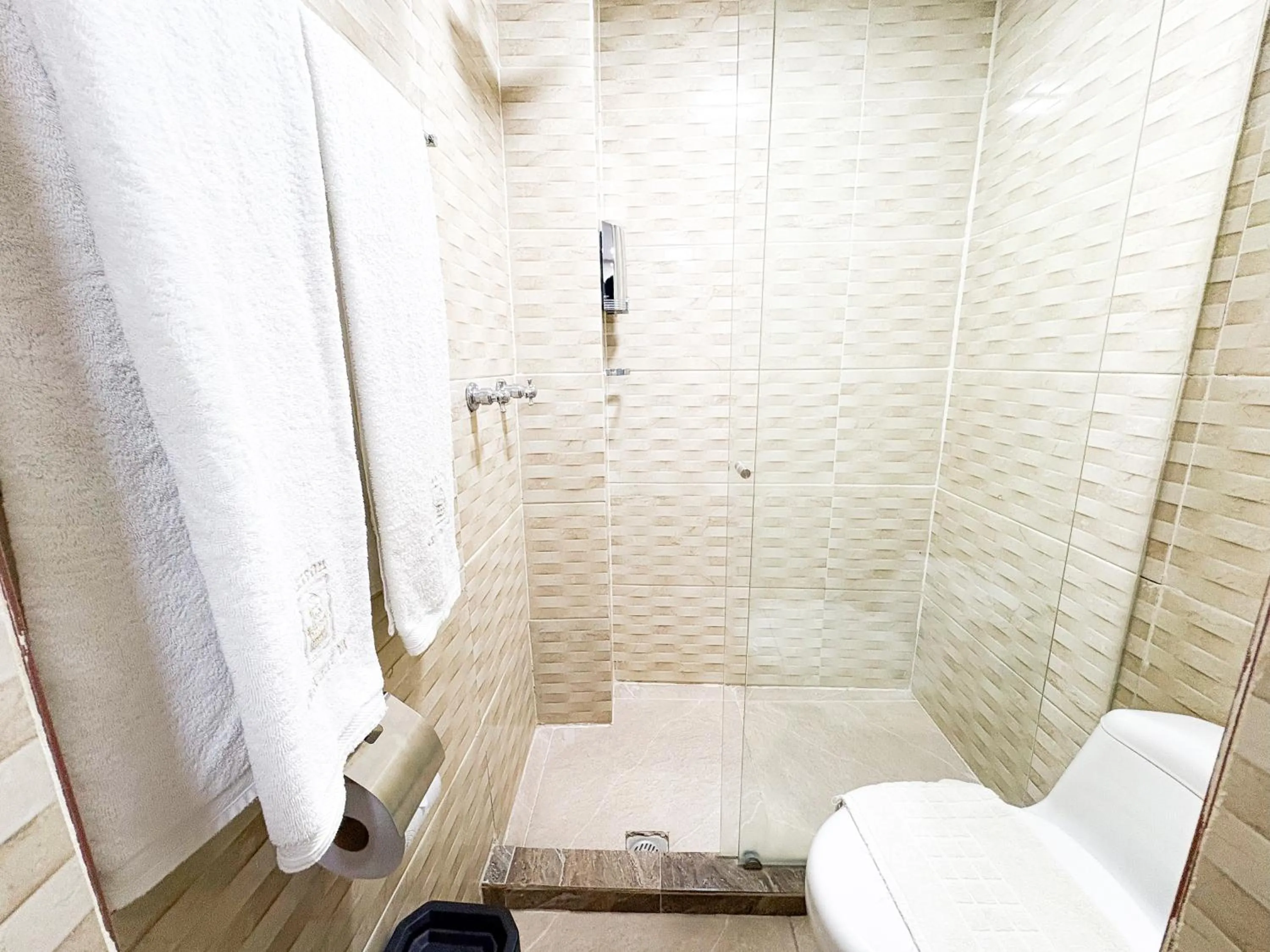 Shower in Hotel AT THE PARK