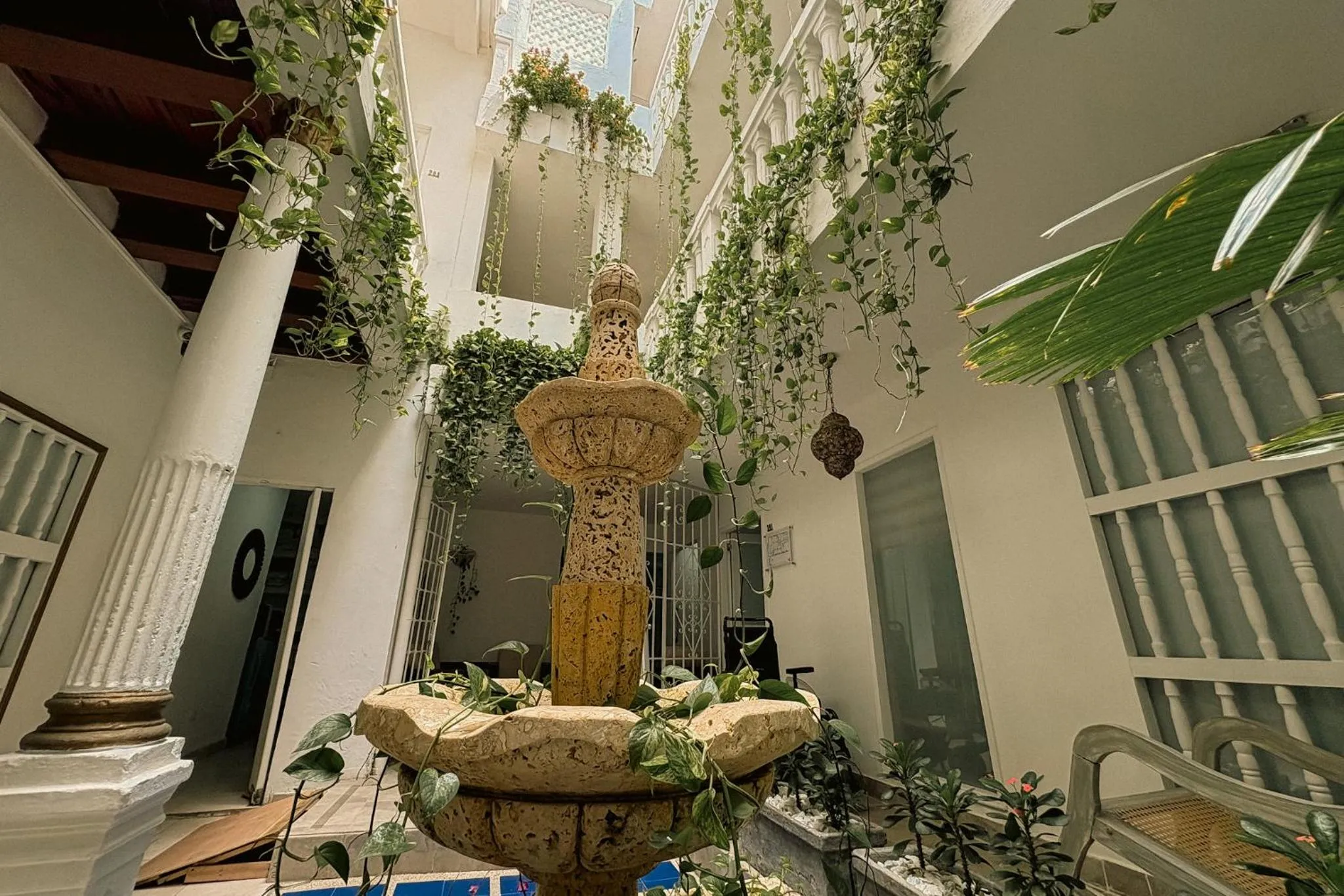 Garden in Hotel AT THE PARK