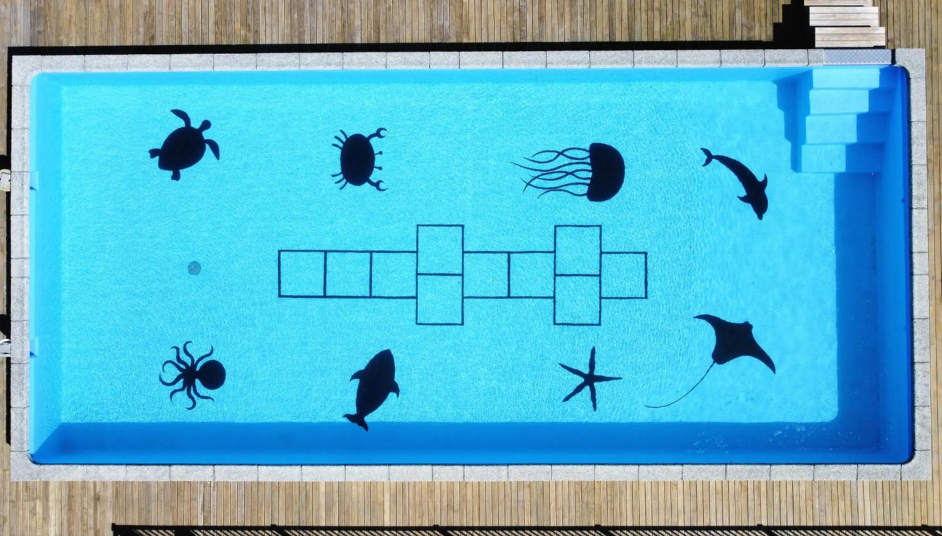 Activities in Riverside Whakatane Holiday Park