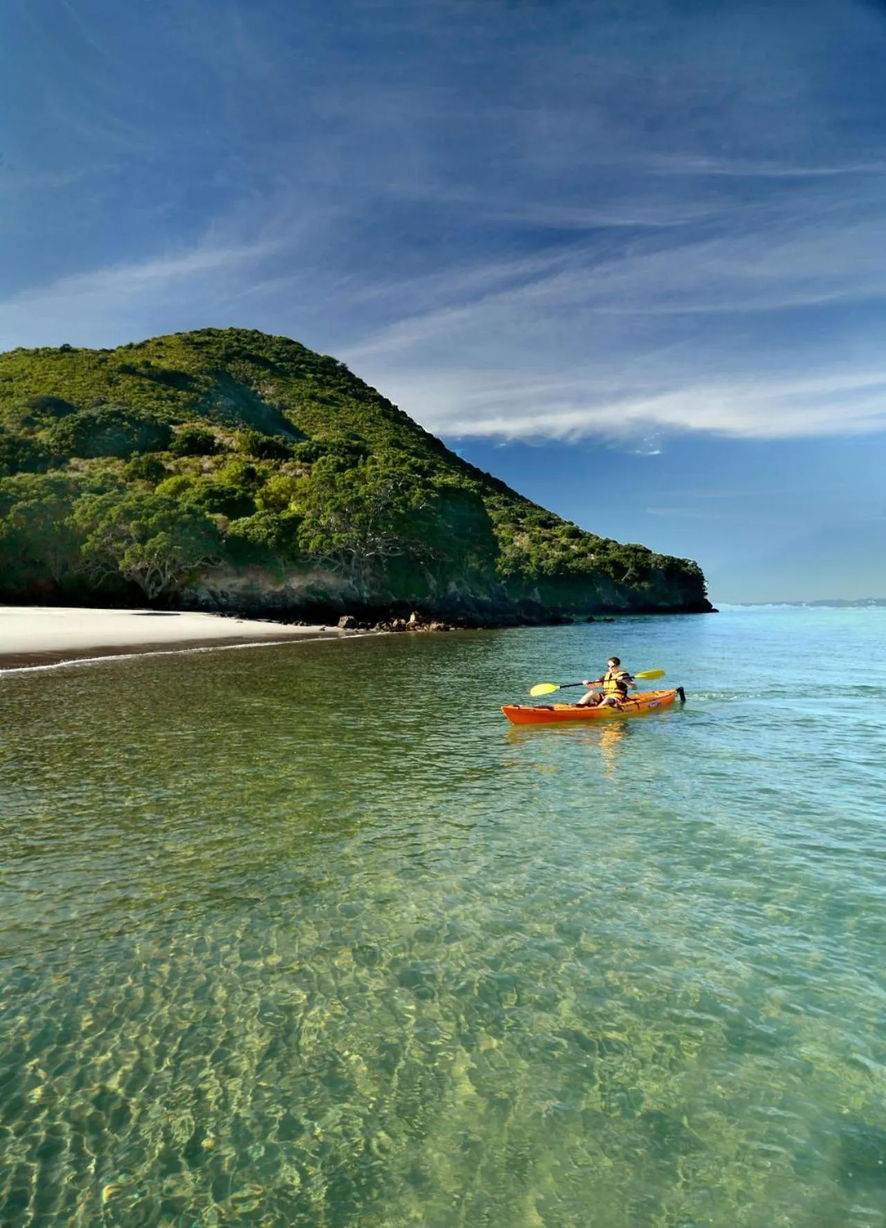 Natural landscape in Riverside Whakatane Holiday Park