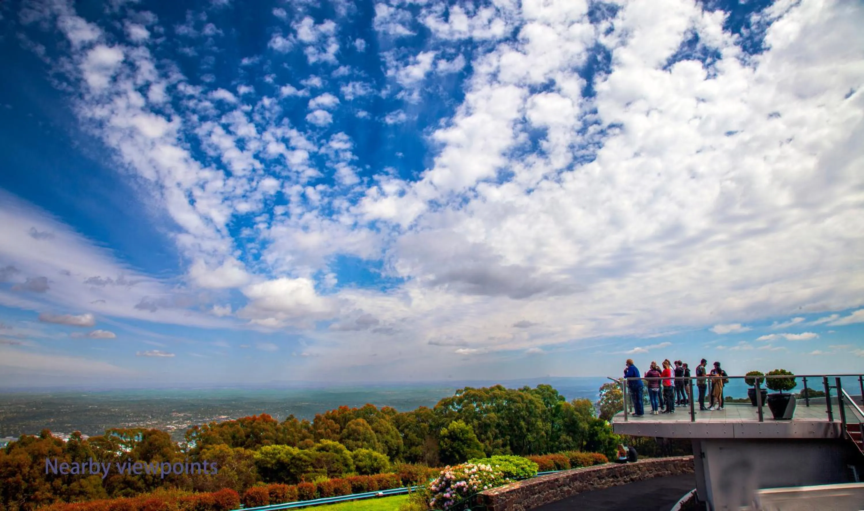 Arnica Views Summit Retreat