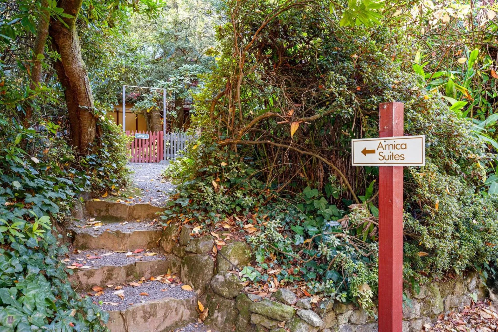 Arnica Views Summit Retreat