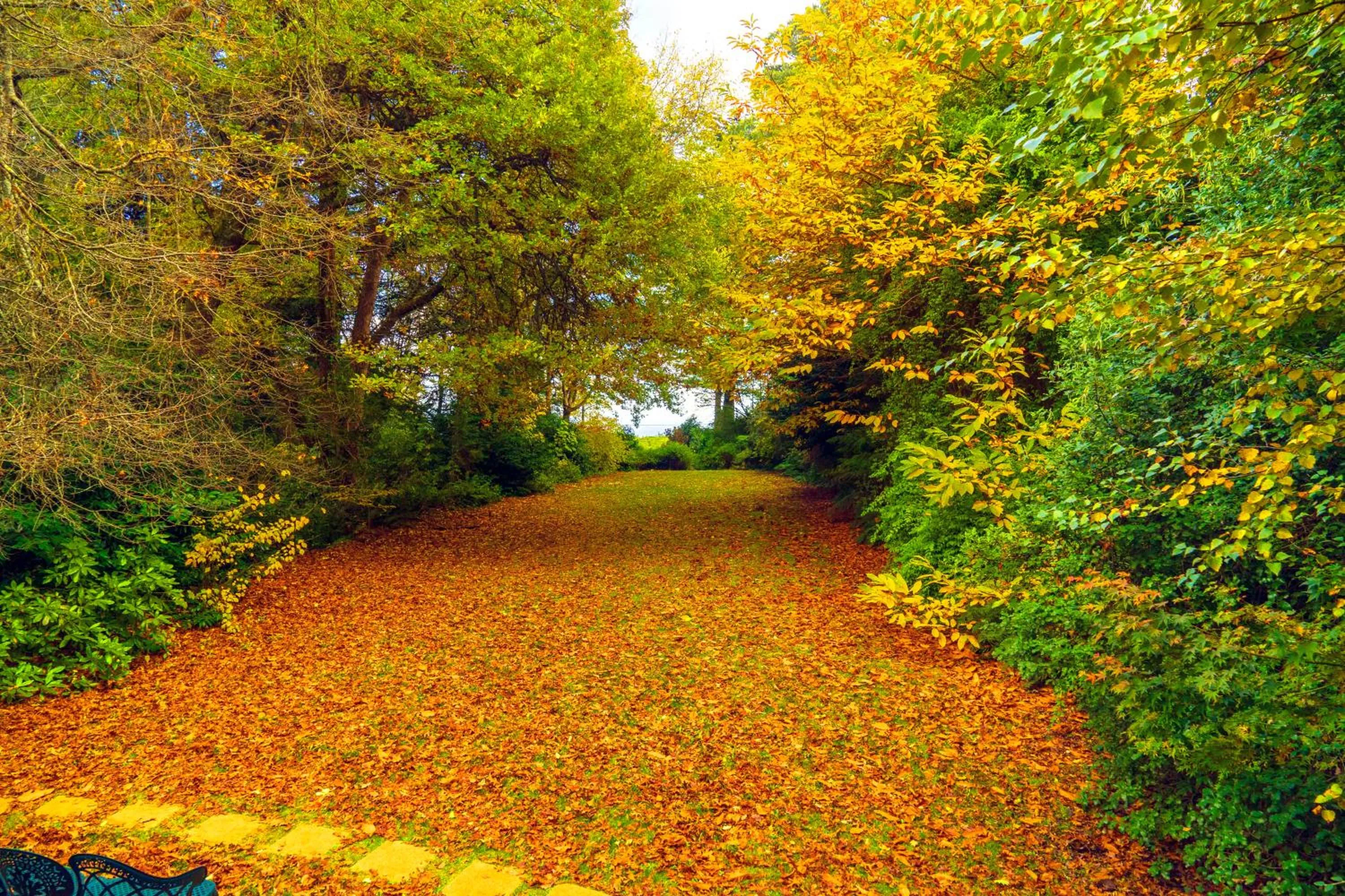 Arnica Views Summit Retreat