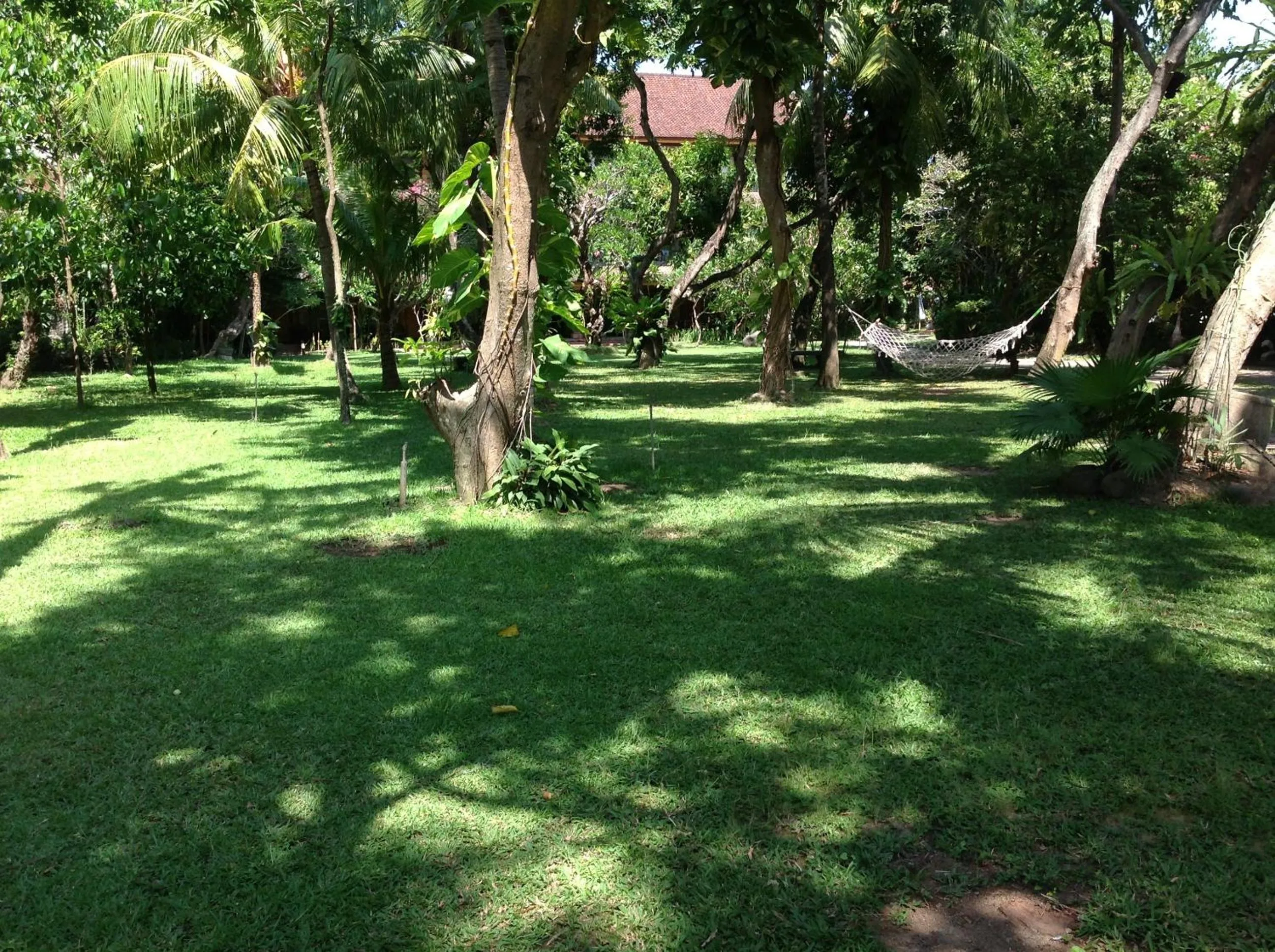 Garden in Matahari Bungalow