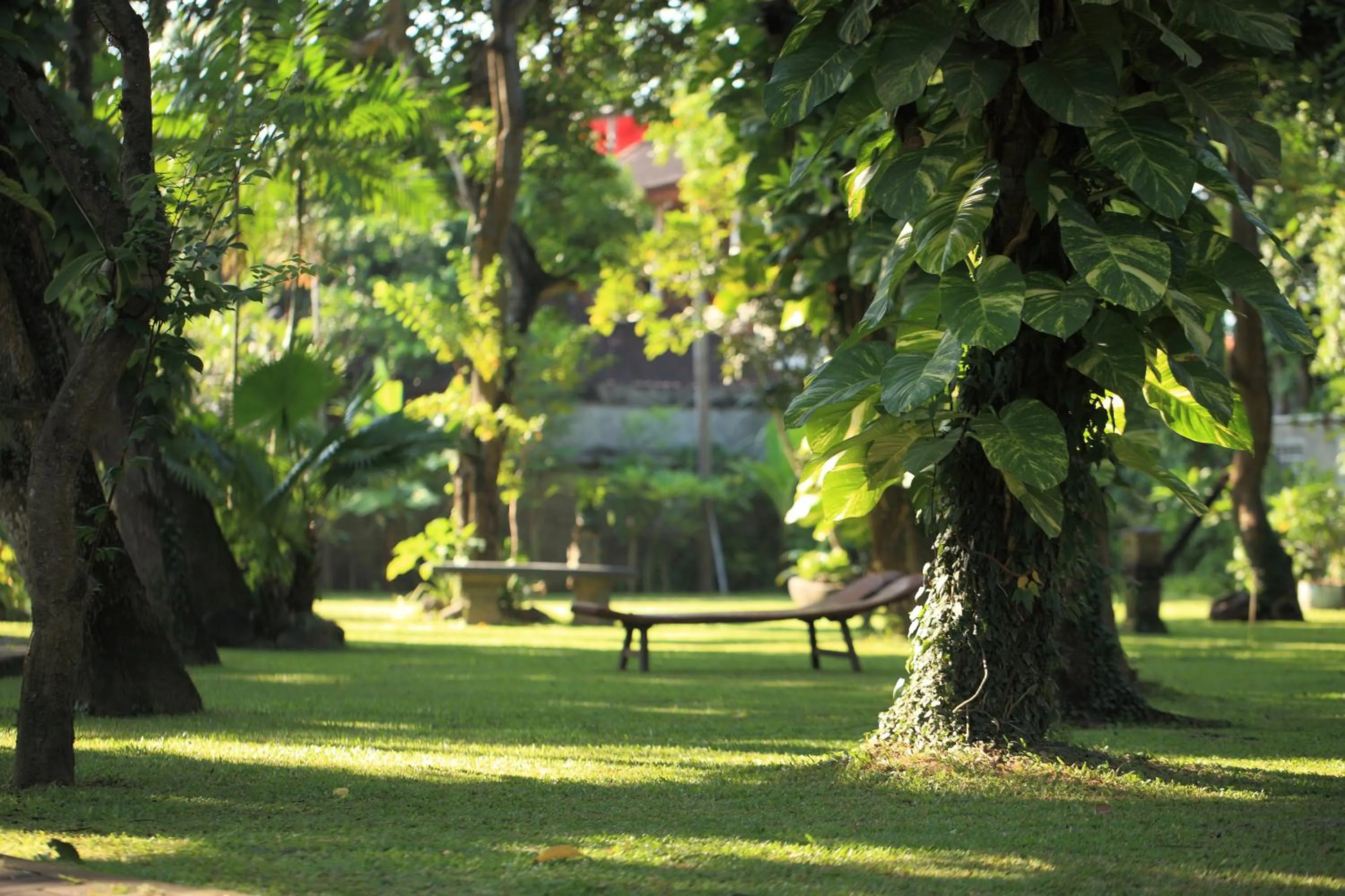 Garden in Matahari Bungalow