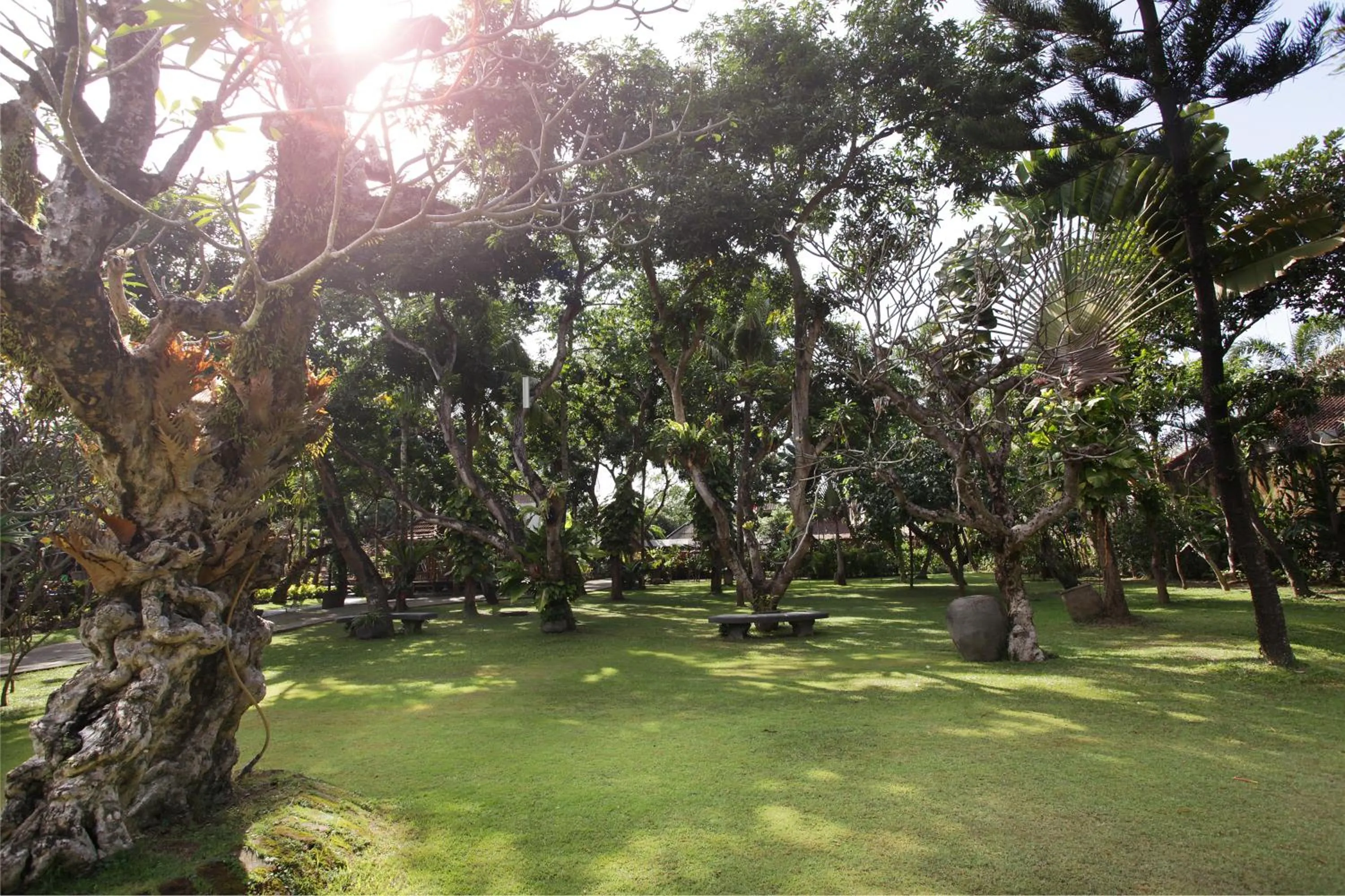 Garden in Matahari Bungalow