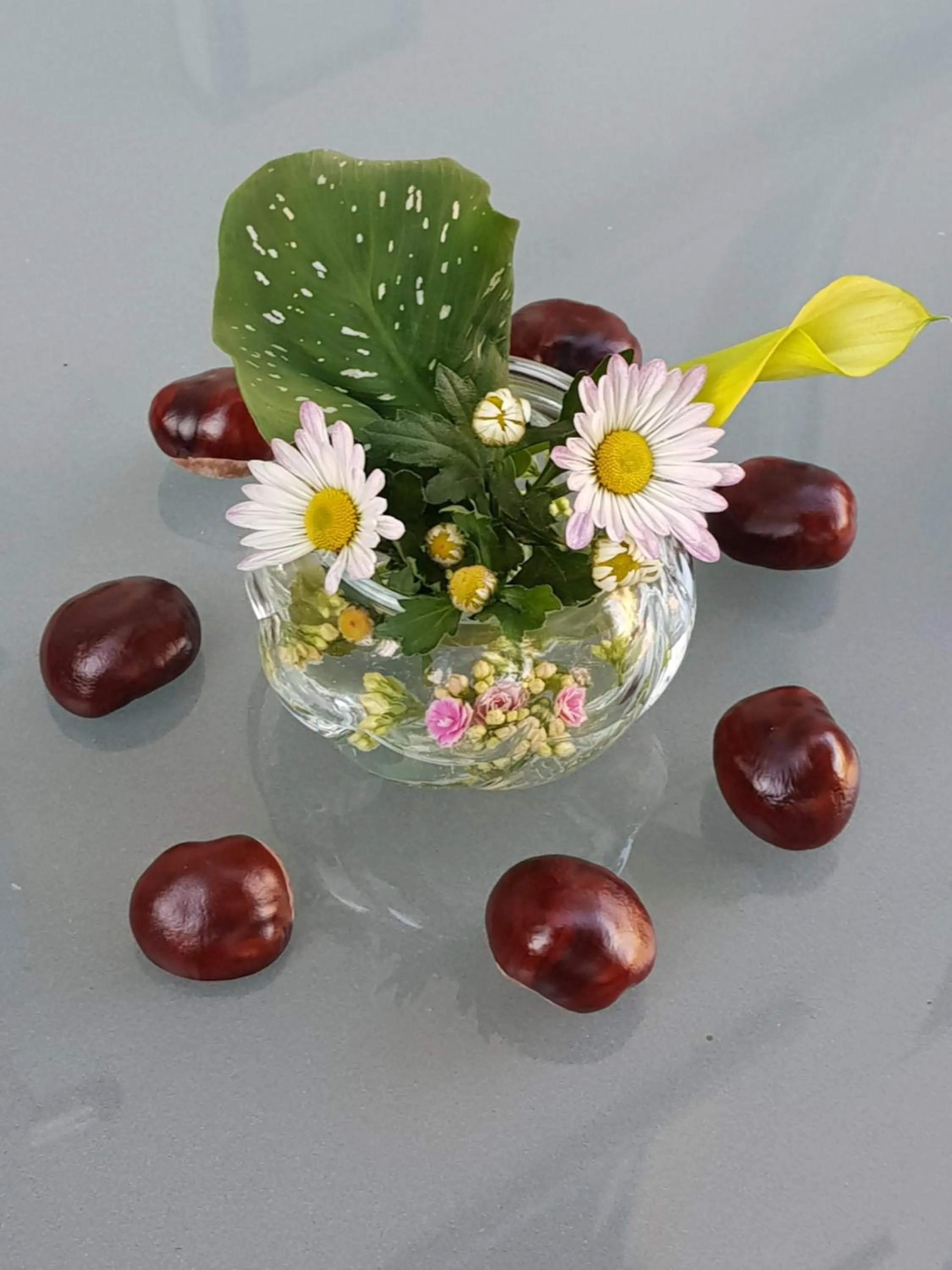 Garden in Auenwald Hotel und Apartmenthaus