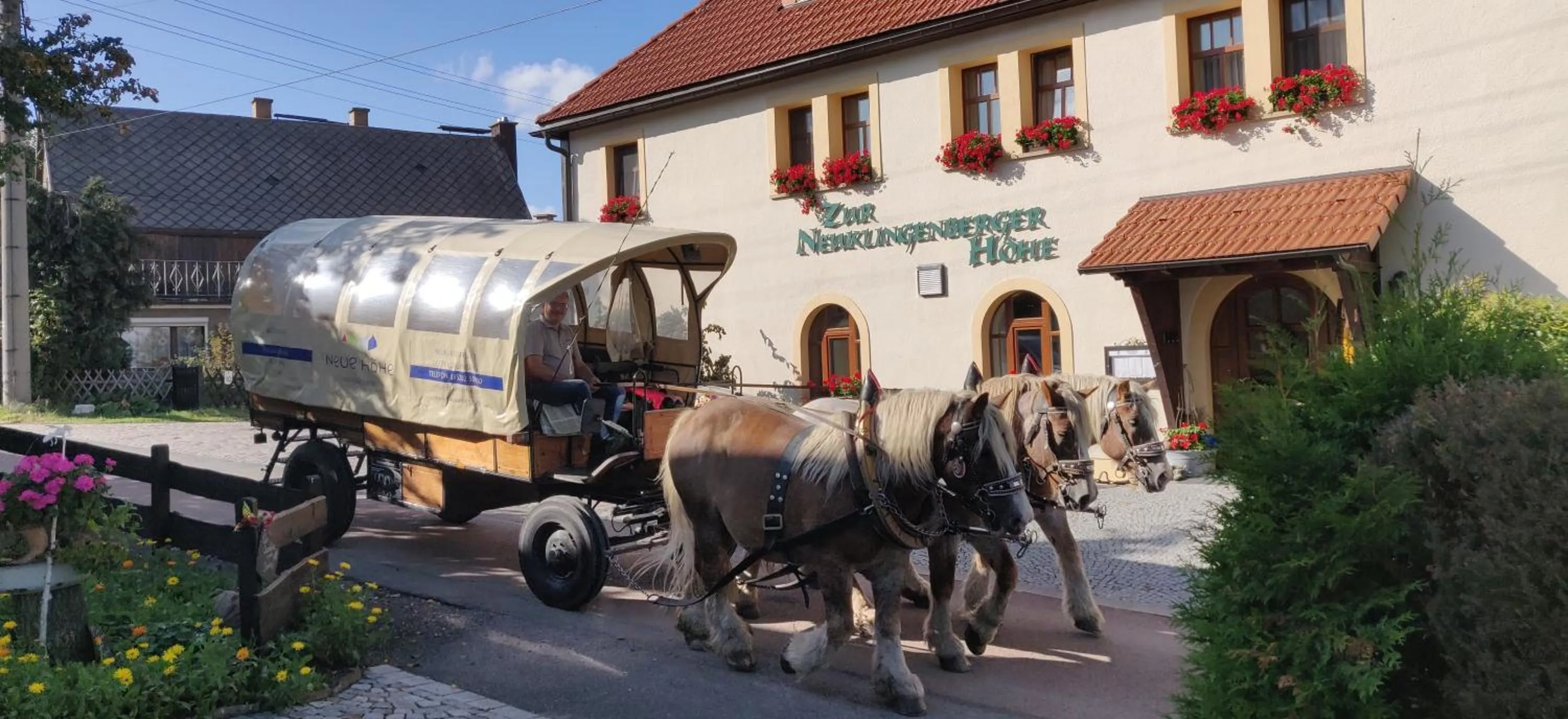 Horse-riding in Hotel Neue Höhe