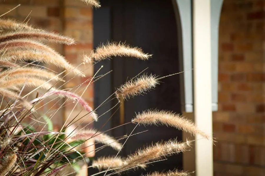 Decorative detail in Potters Apartments