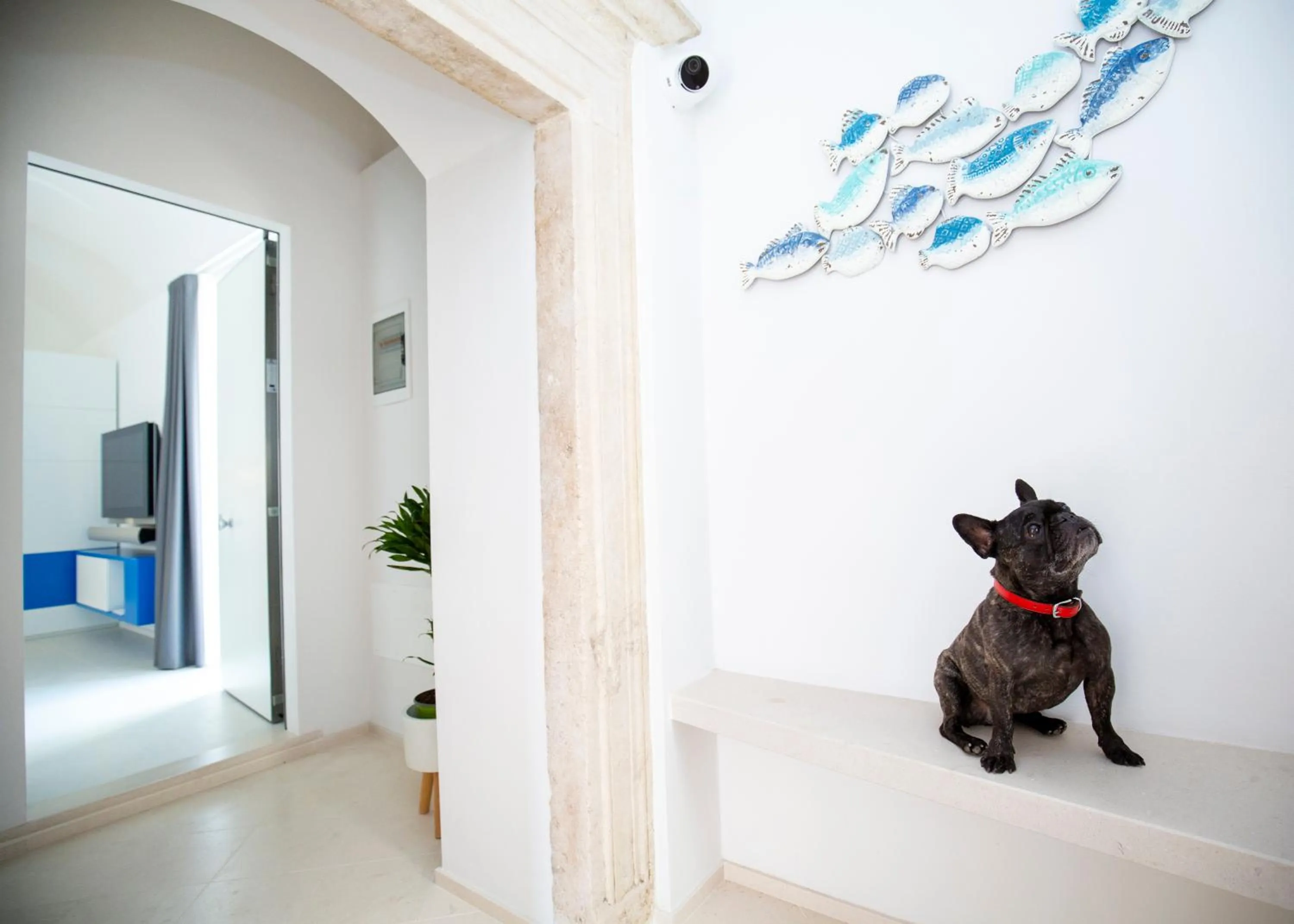 TV and multimedia in Al Castello Relais