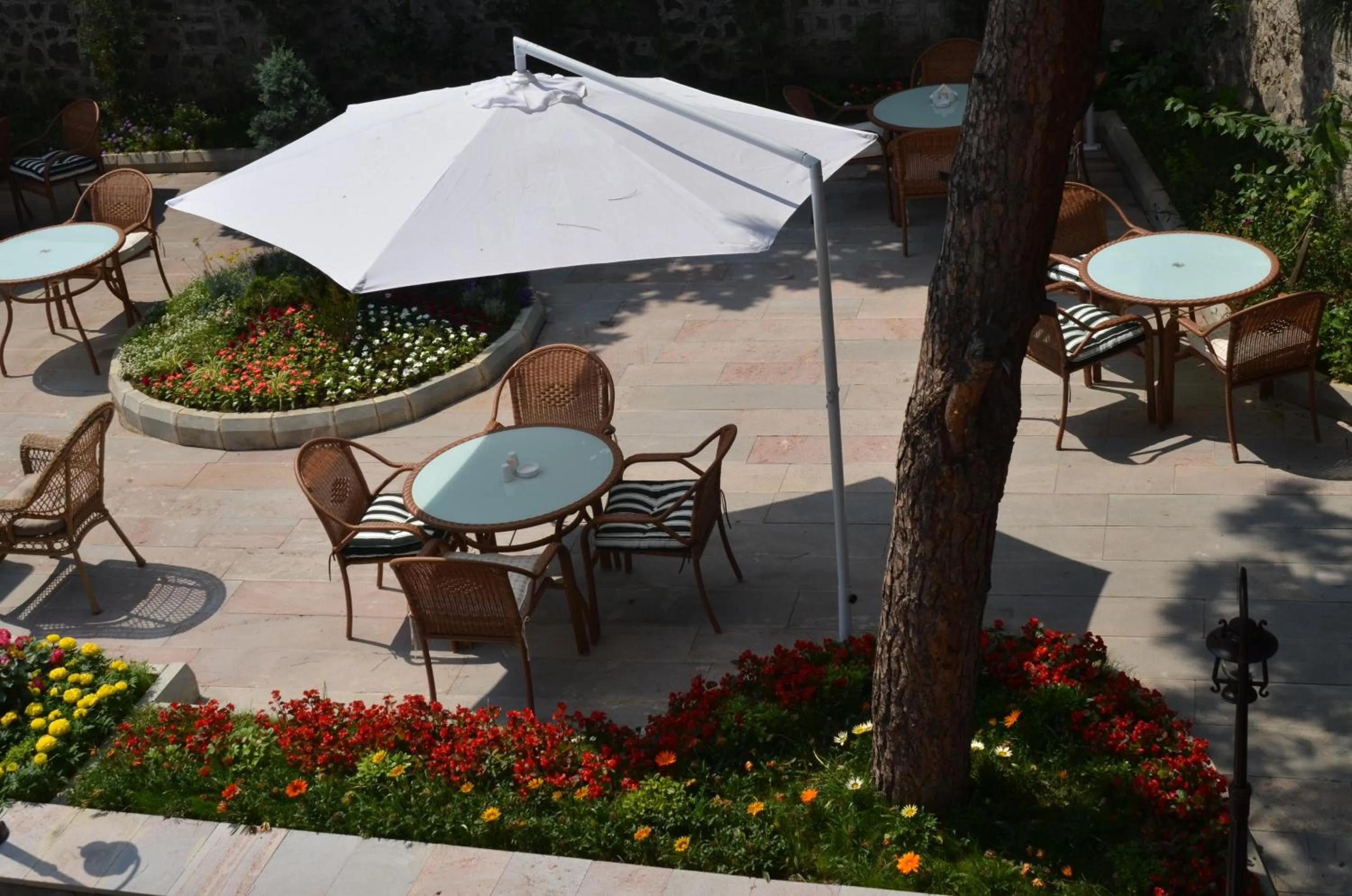 Garden in Tahir Aga Konagi Hotel