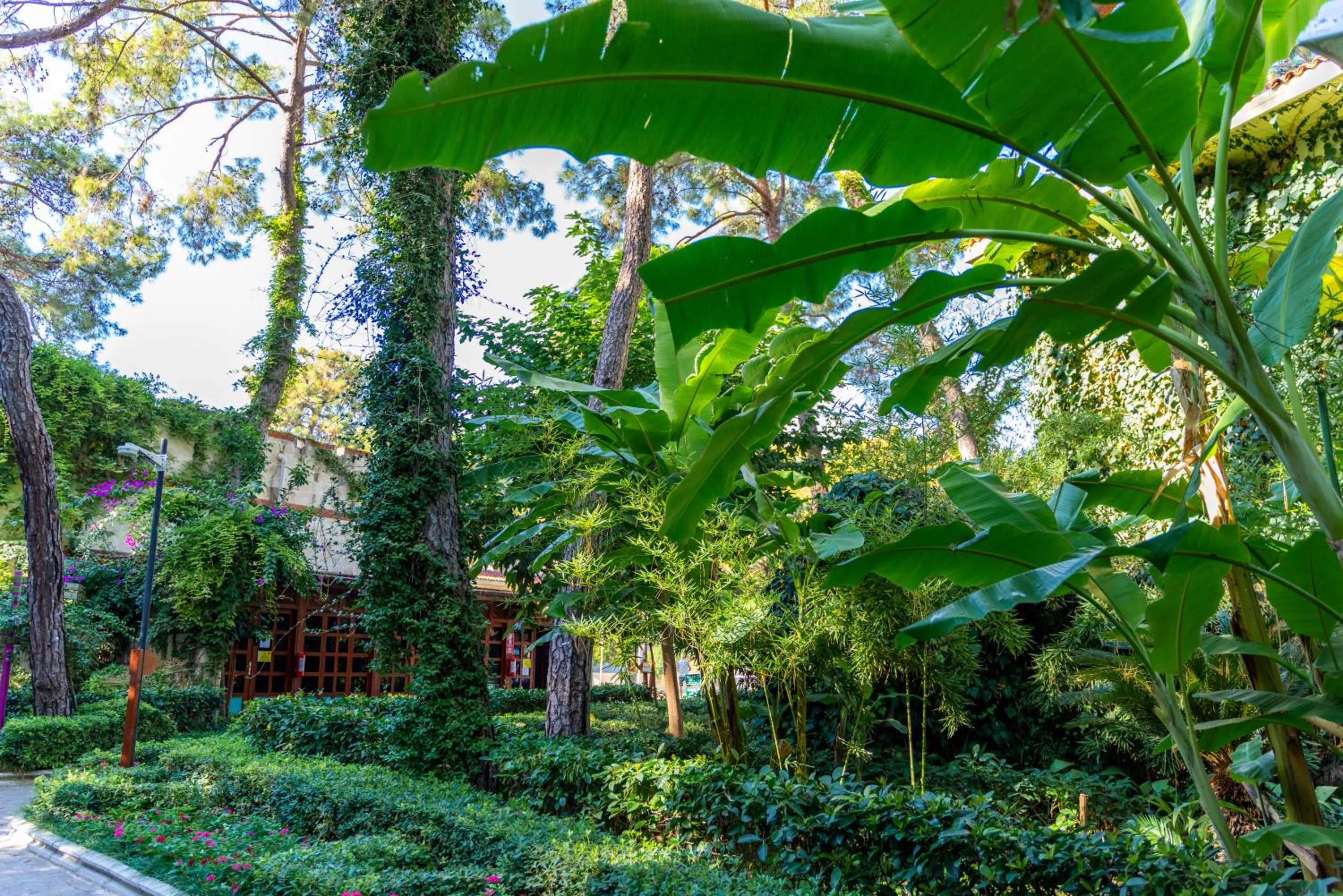 Garden in Ulusoy Kemer Holiday Club - Kids Concept